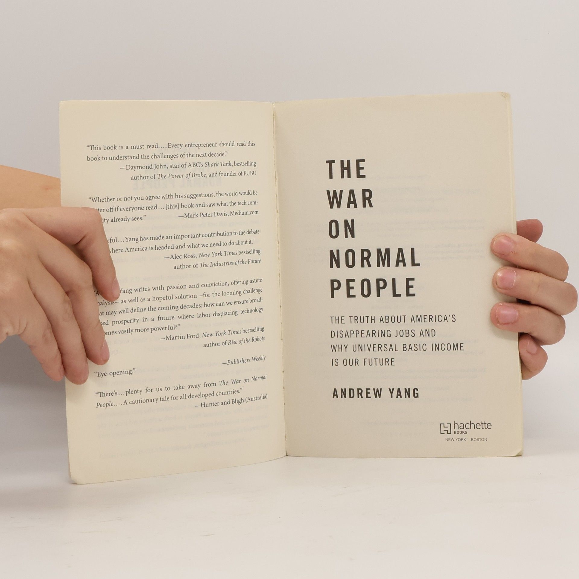 Andrew Yang The War on Normal People