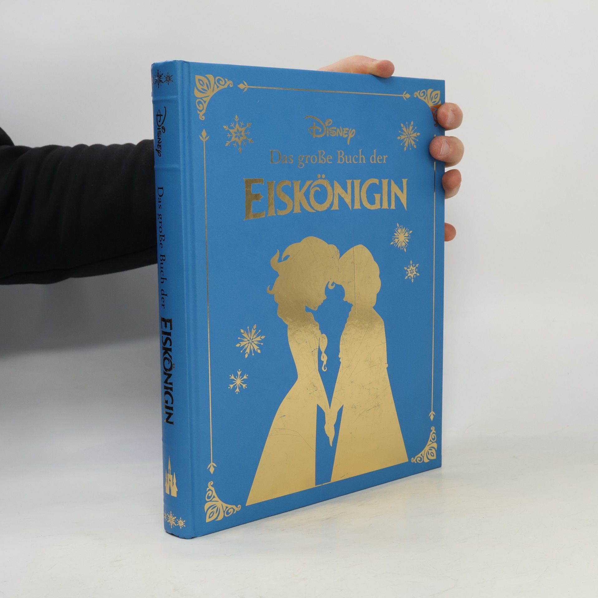 Autorenkollektiv Das große Buch der Eiskönigin