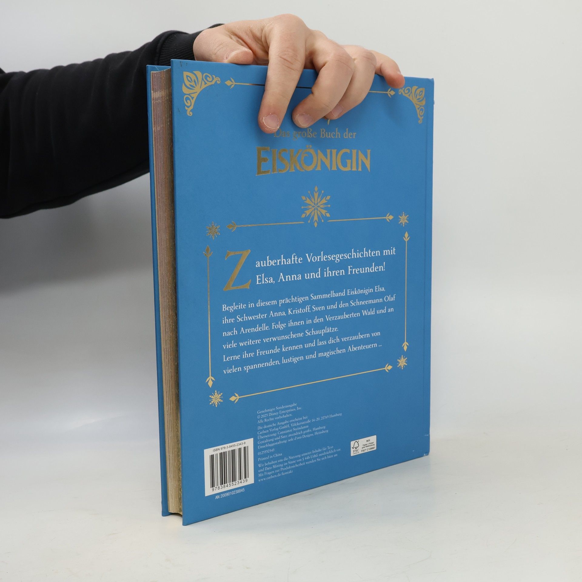 Das große Buch der Eiskönigin