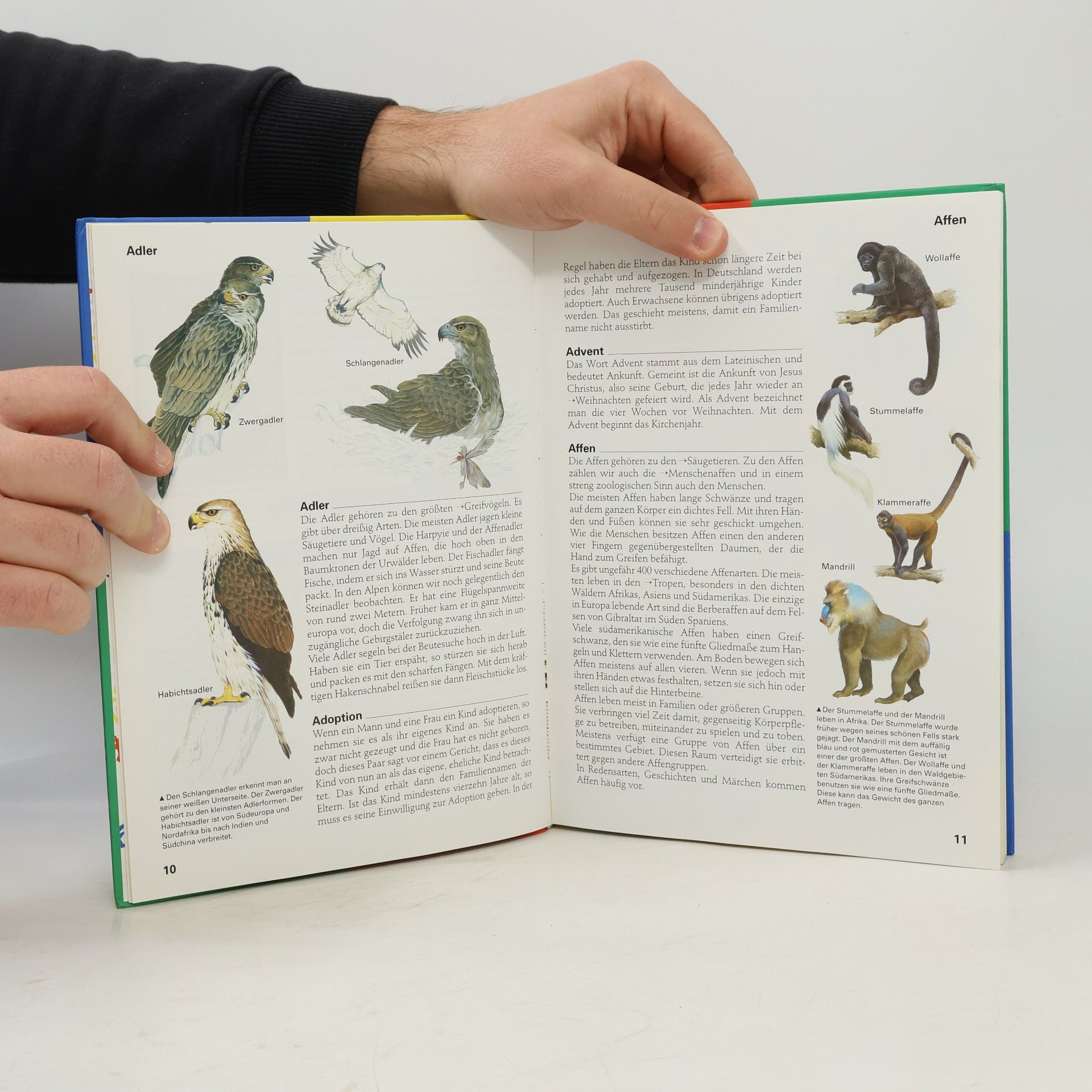 Autorenkollektiv Der Kinder-Brockhaus 1. Aal bis Fernsehen