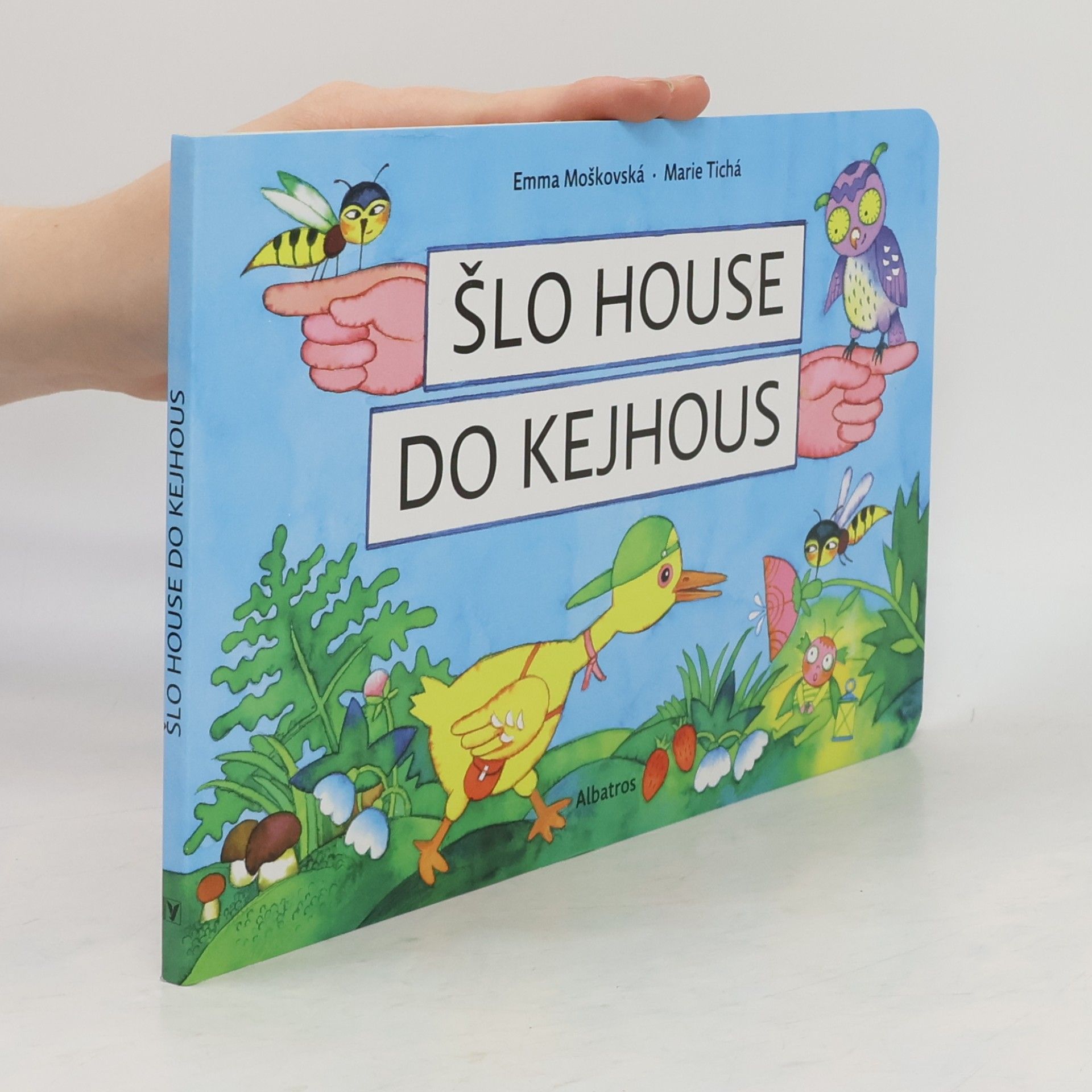Marie Tichá Šlo house do Kejhous