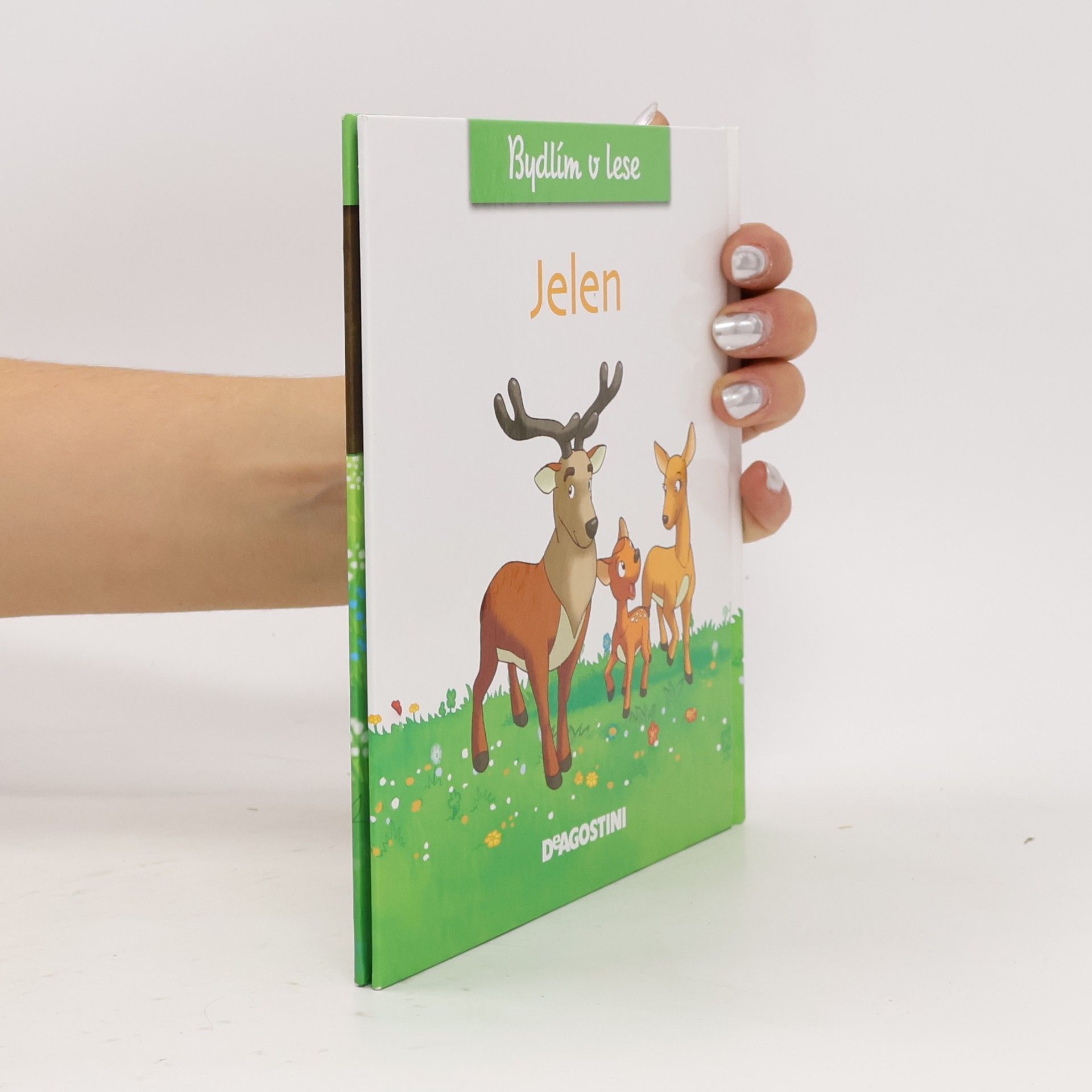 Autorenkollektiv Bydlím v lese - jelen