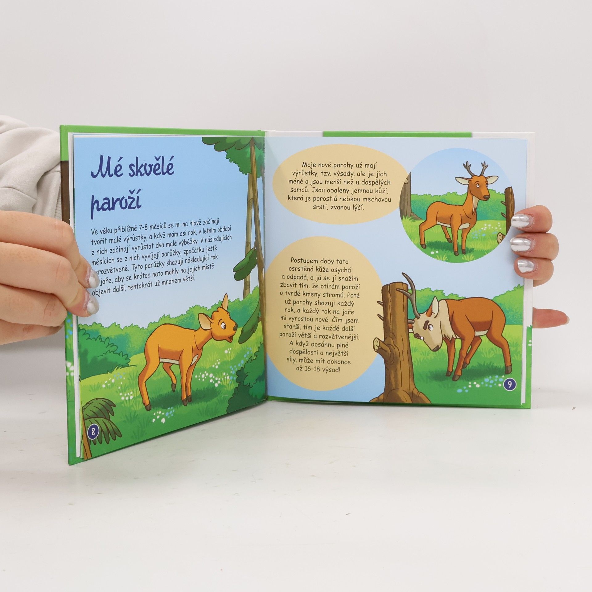 Autorenkollektiv Bydlím v lese - jelen