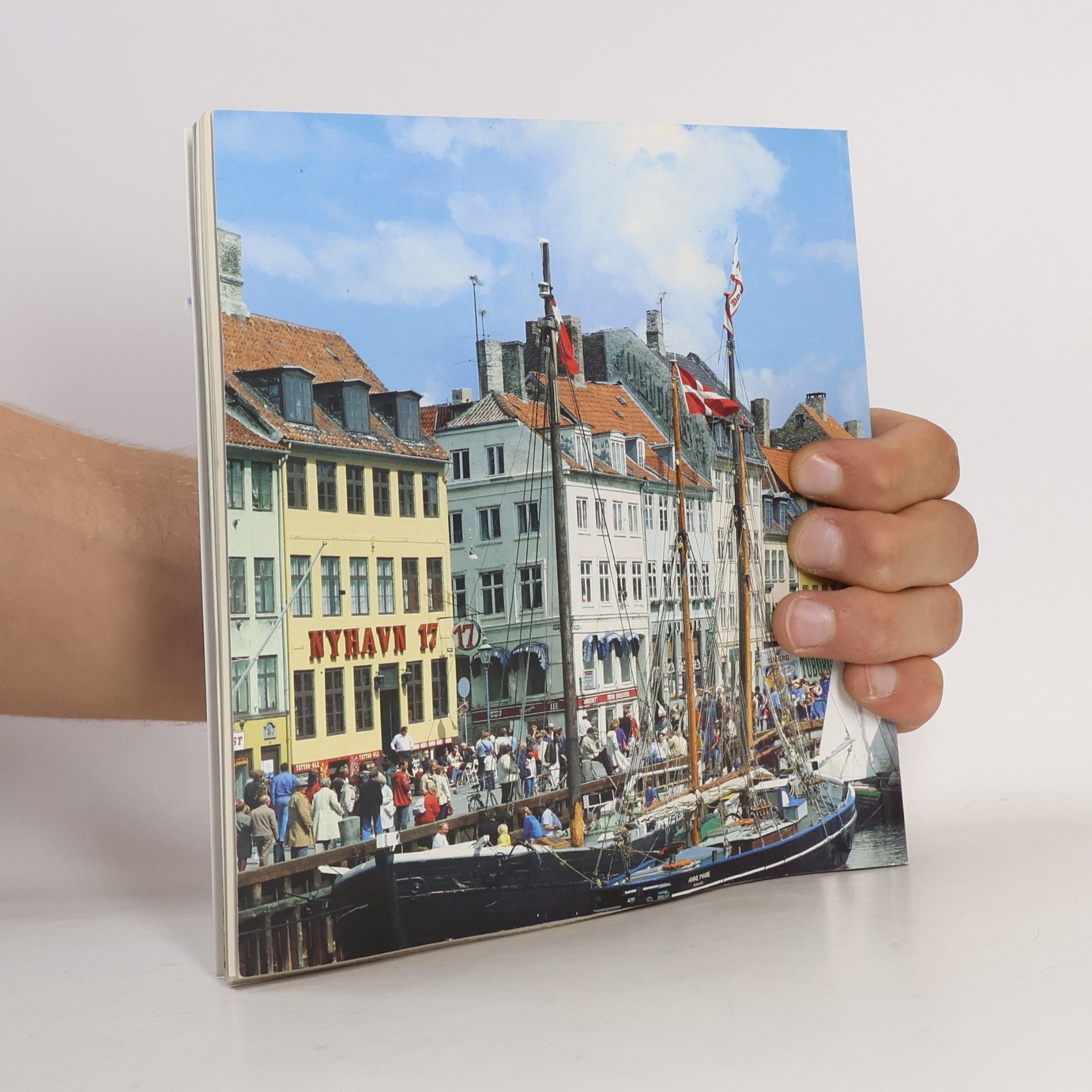 Autorenkollektiv Tourist in Copenhagen