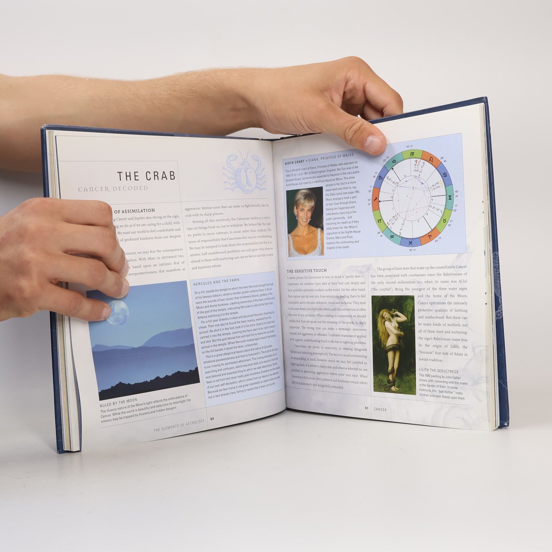 Roy Gillett The Secret Language of Astrology