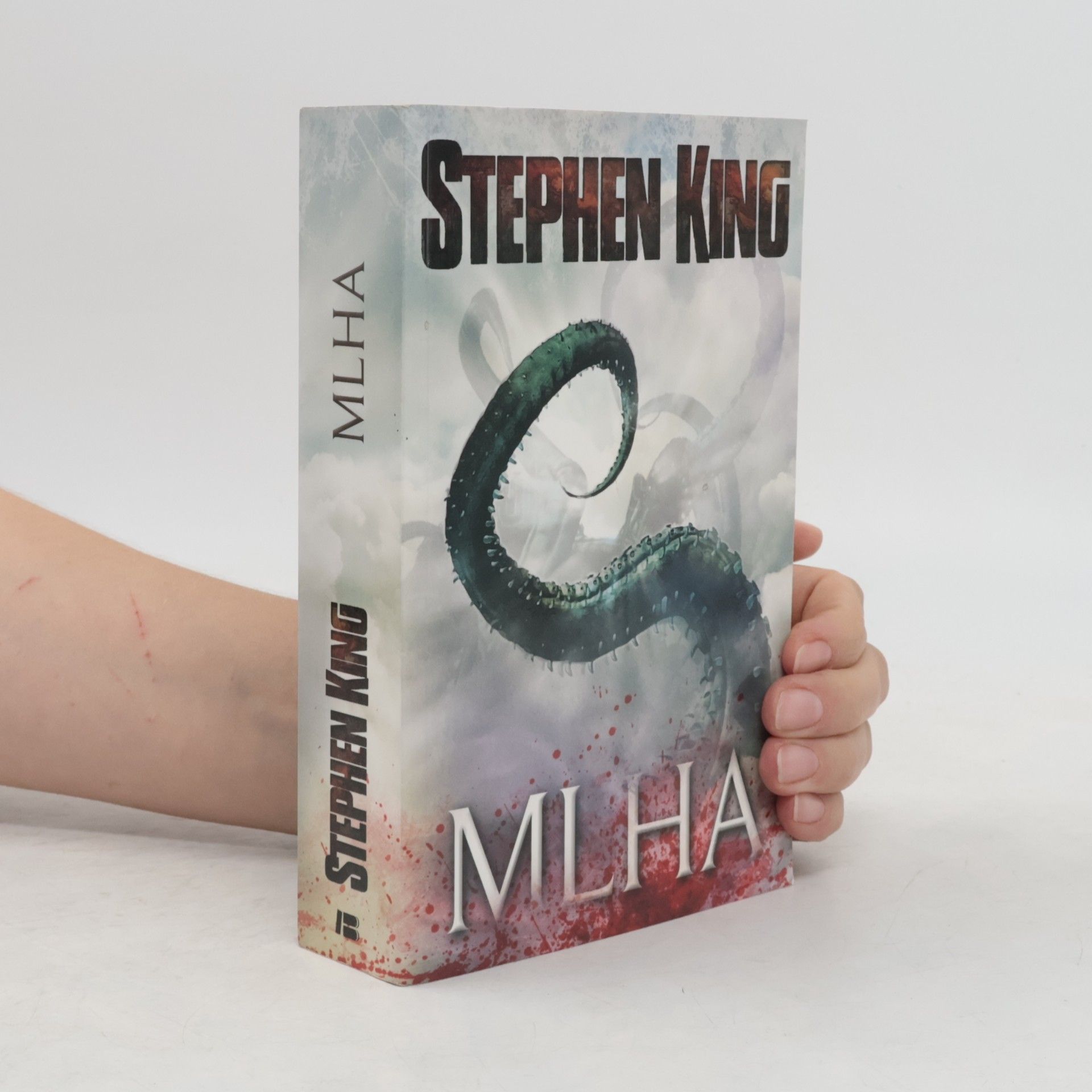 Mlha