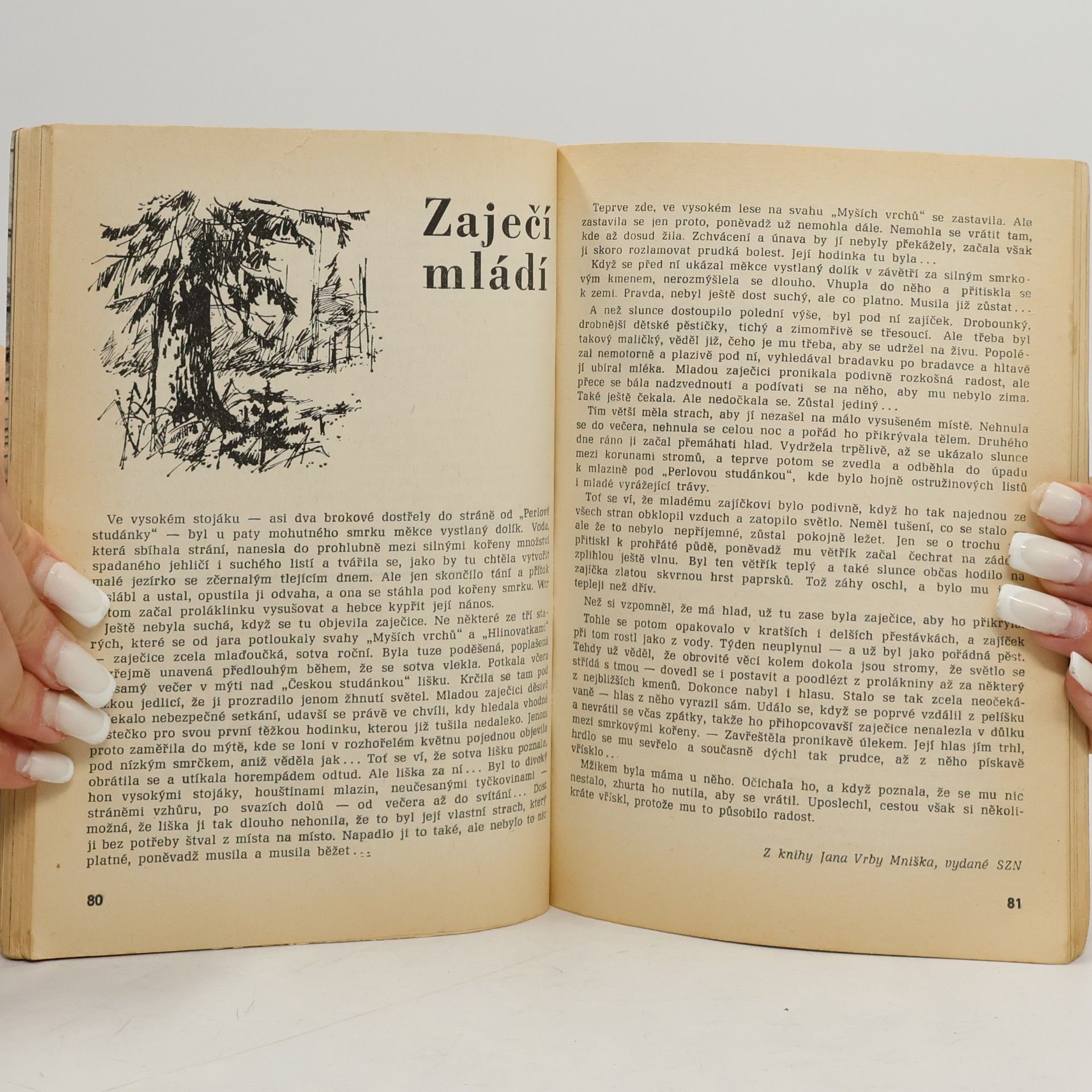 Kolektiv autorů Myslivecký kalendář 1972