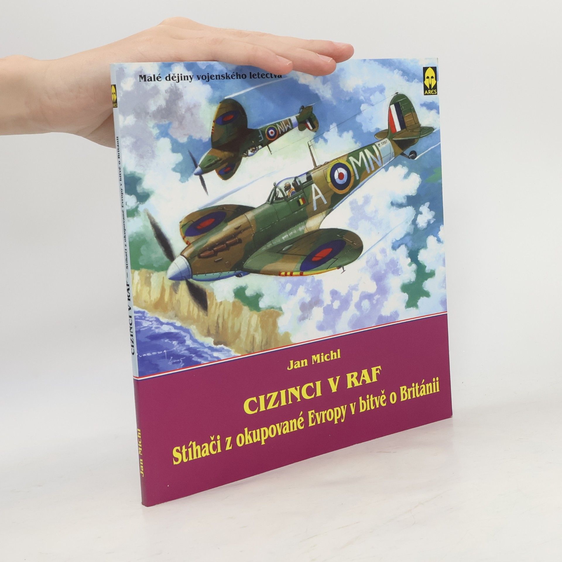 Jan Michl Cizinci v RAF - stíhači z okupované Evropy v bitvě o Británii