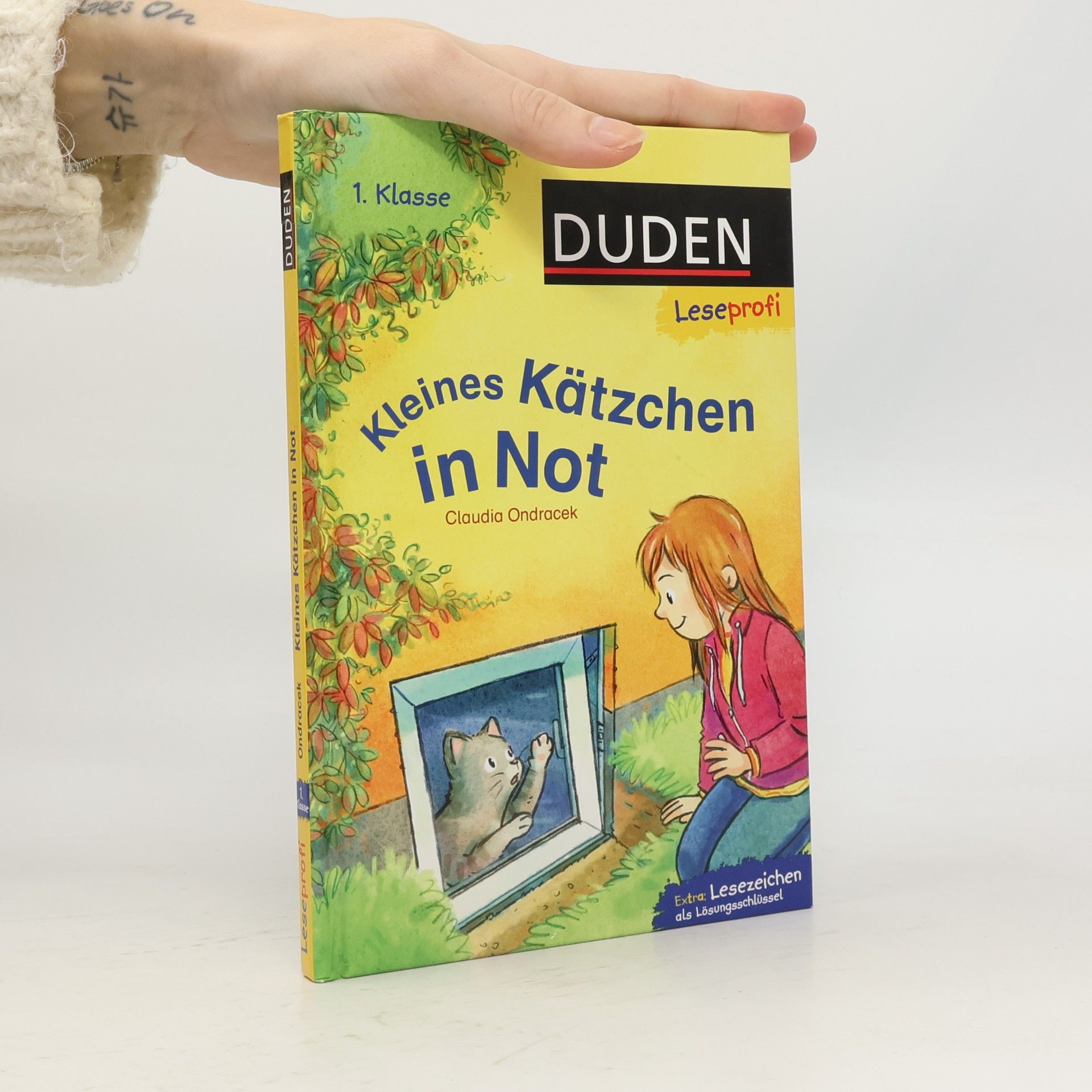 Kleines Kätzchen in Not