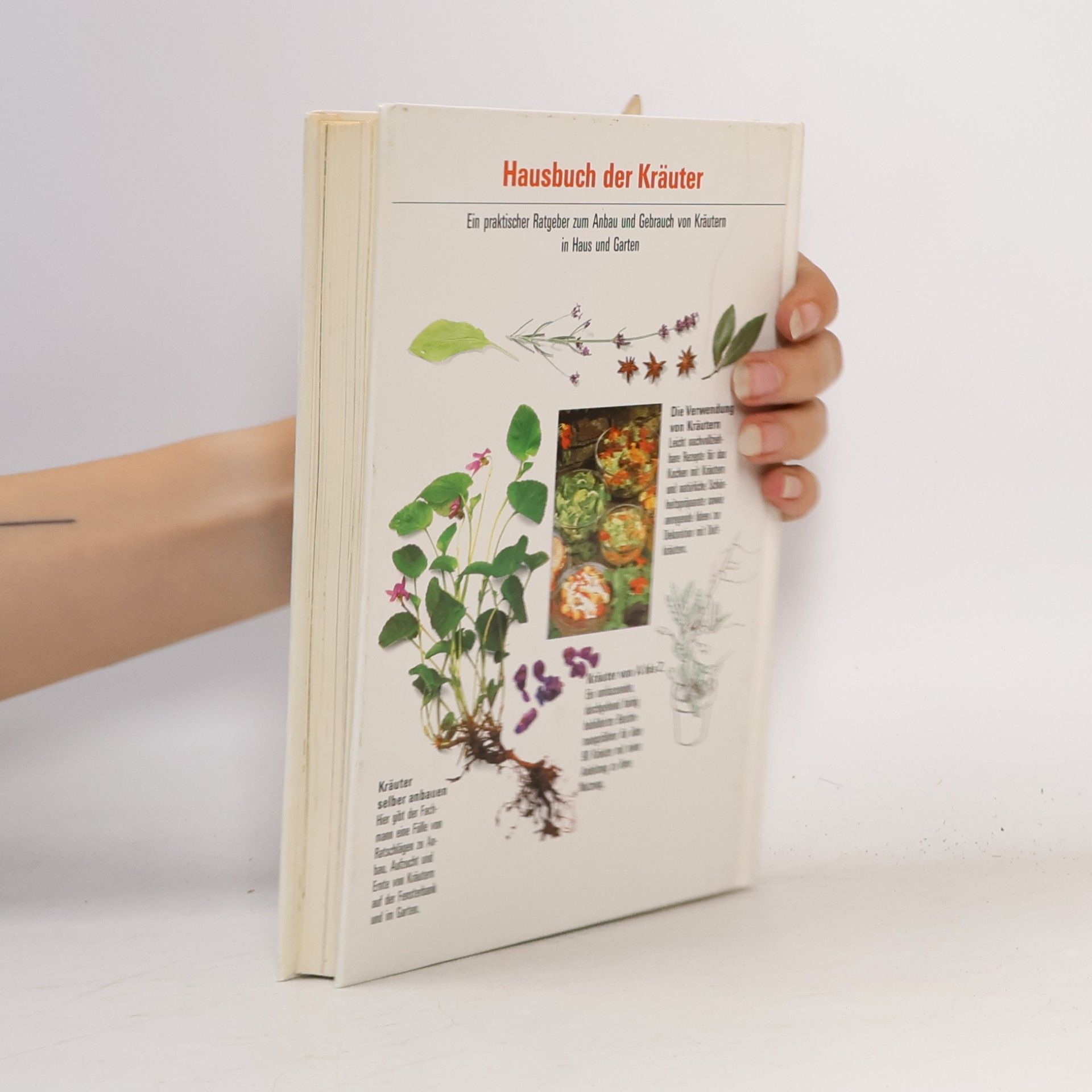 Various authors Hausbuch der Kräuter