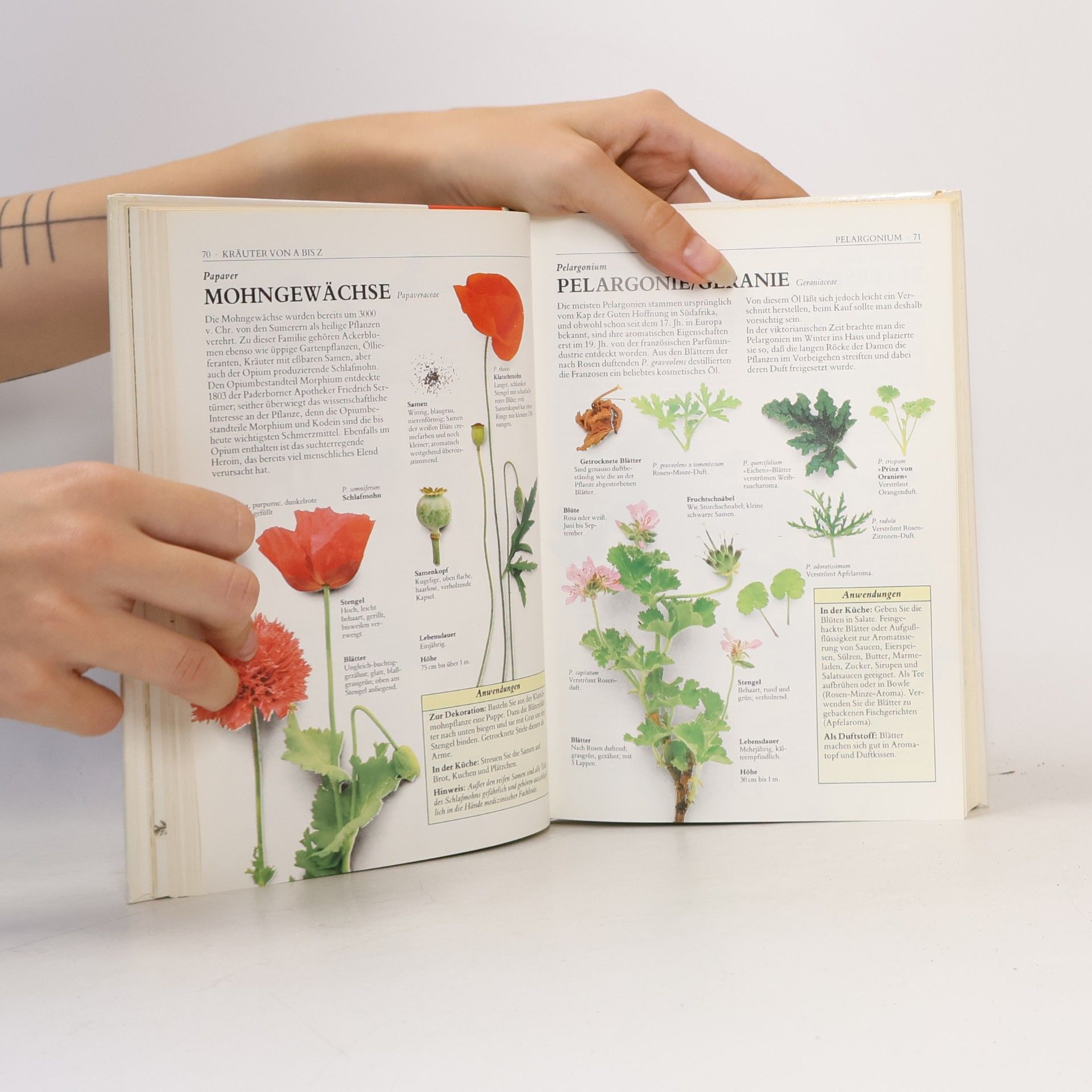 Various authors Hausbuch der Kräuter