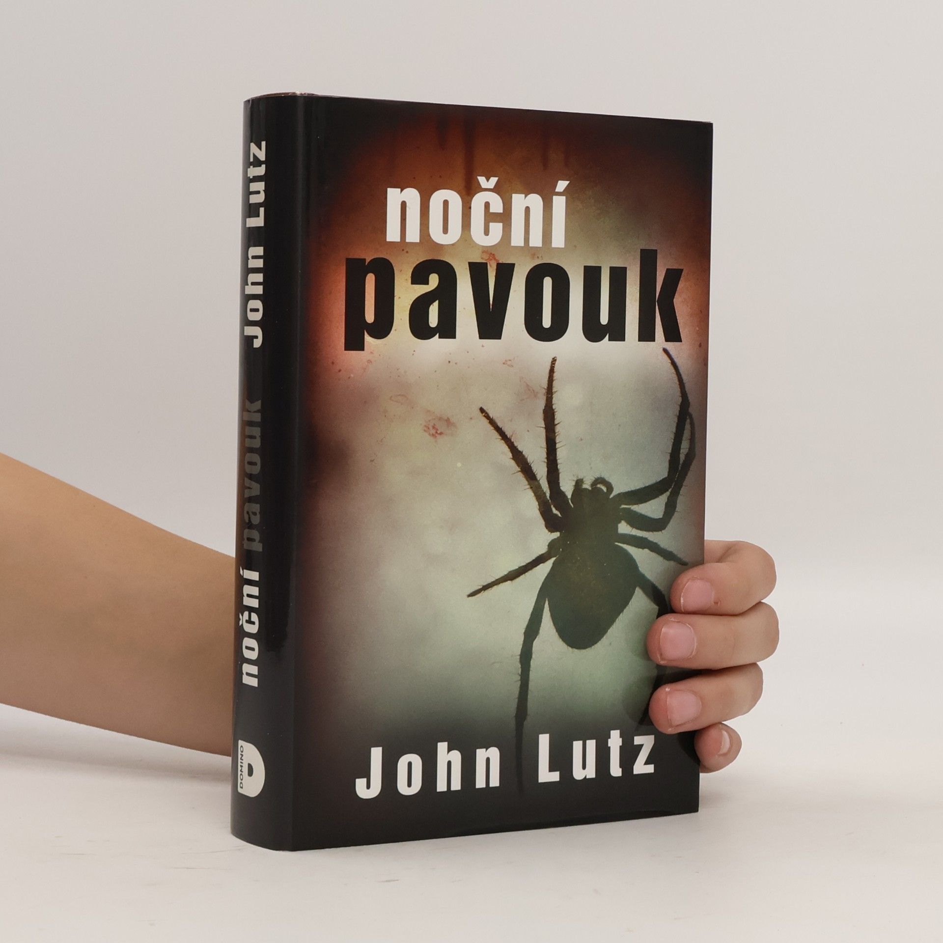 Noční pavouk