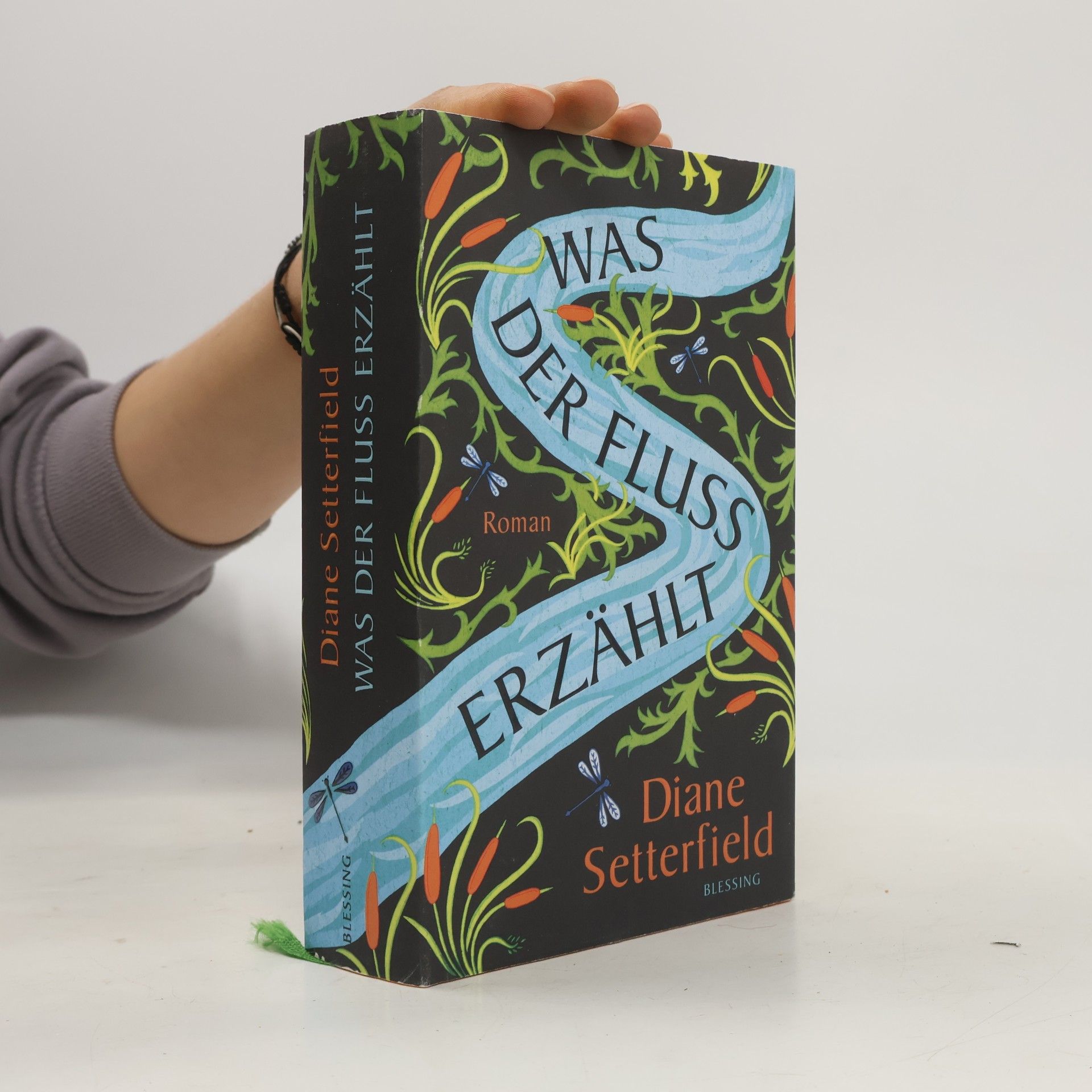 Diane Setterfield Was der Fluss erzählt