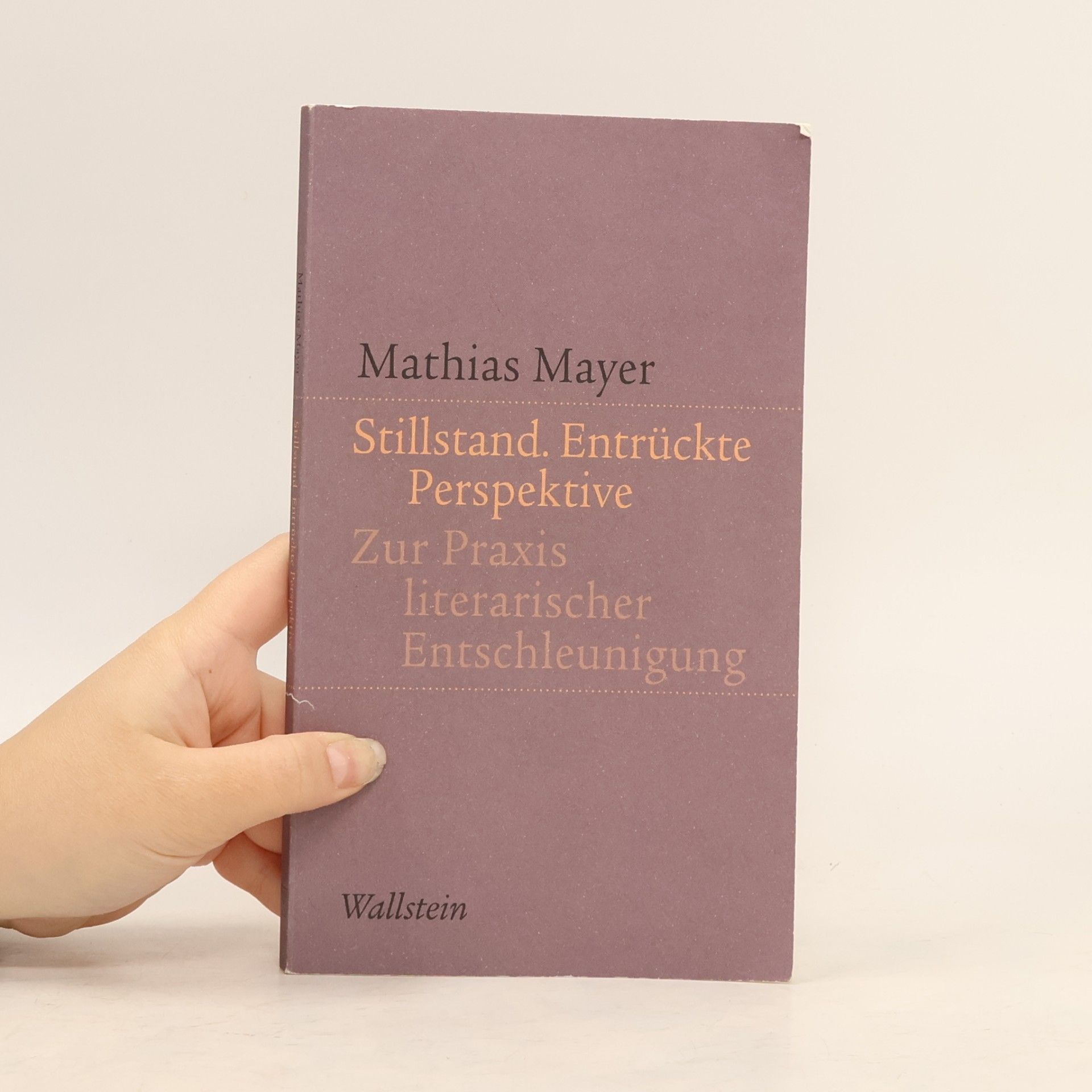 Mathias Mayer Stillstand. Entrückte Perspektive