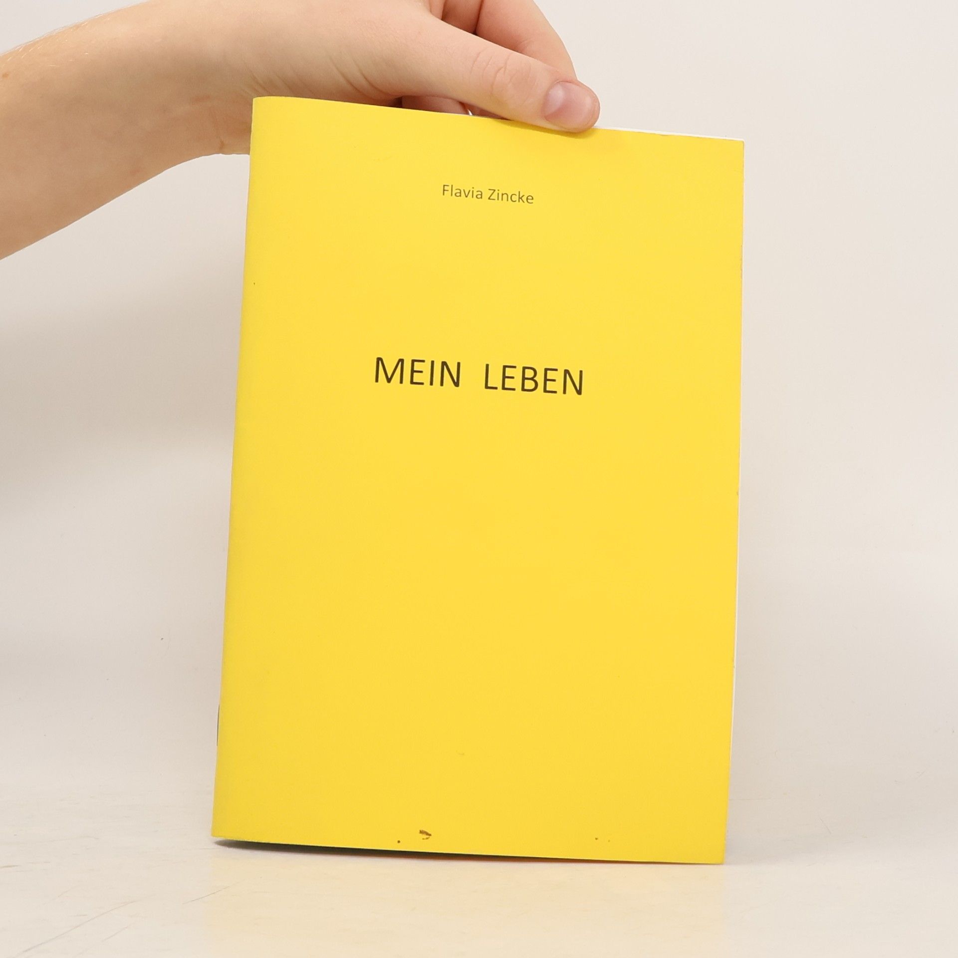 Flavia Zincke Mein Leben