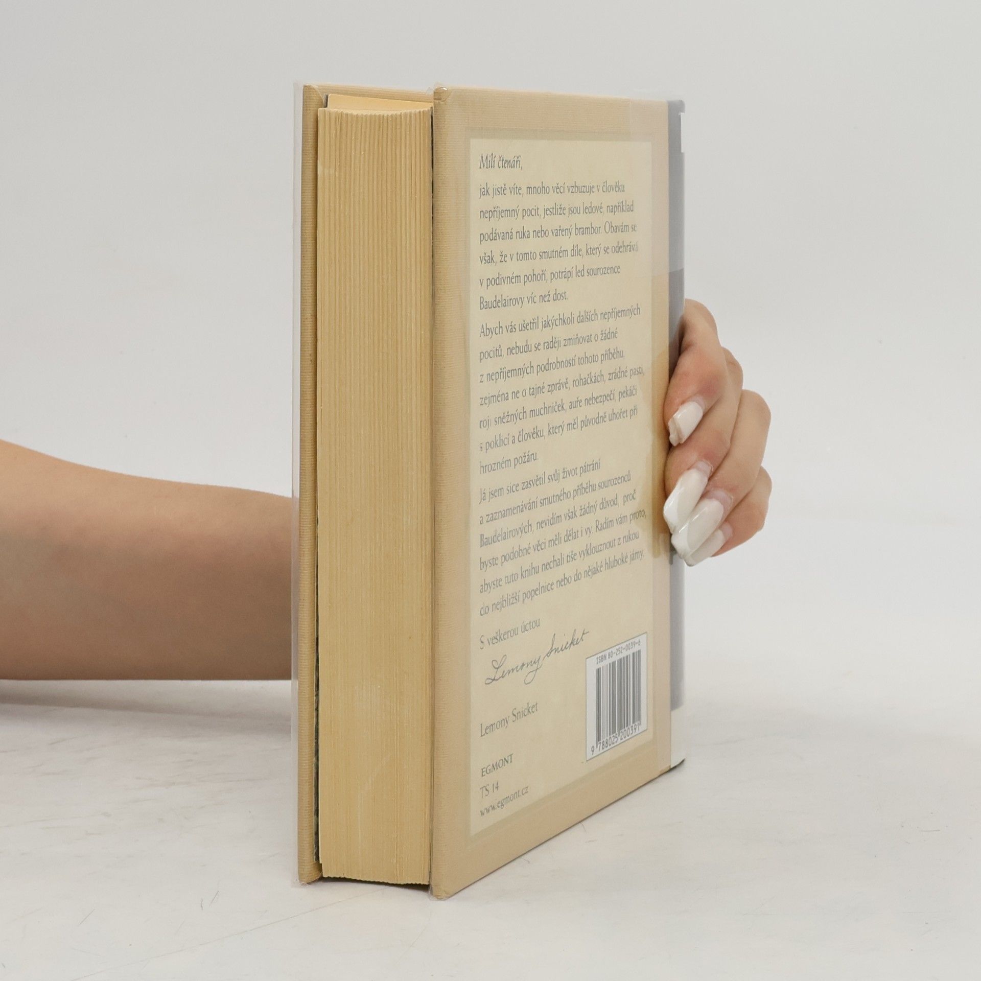 Lemony Snicket Řada nešťastných příhod. Kniha desátá, Ledová stěna