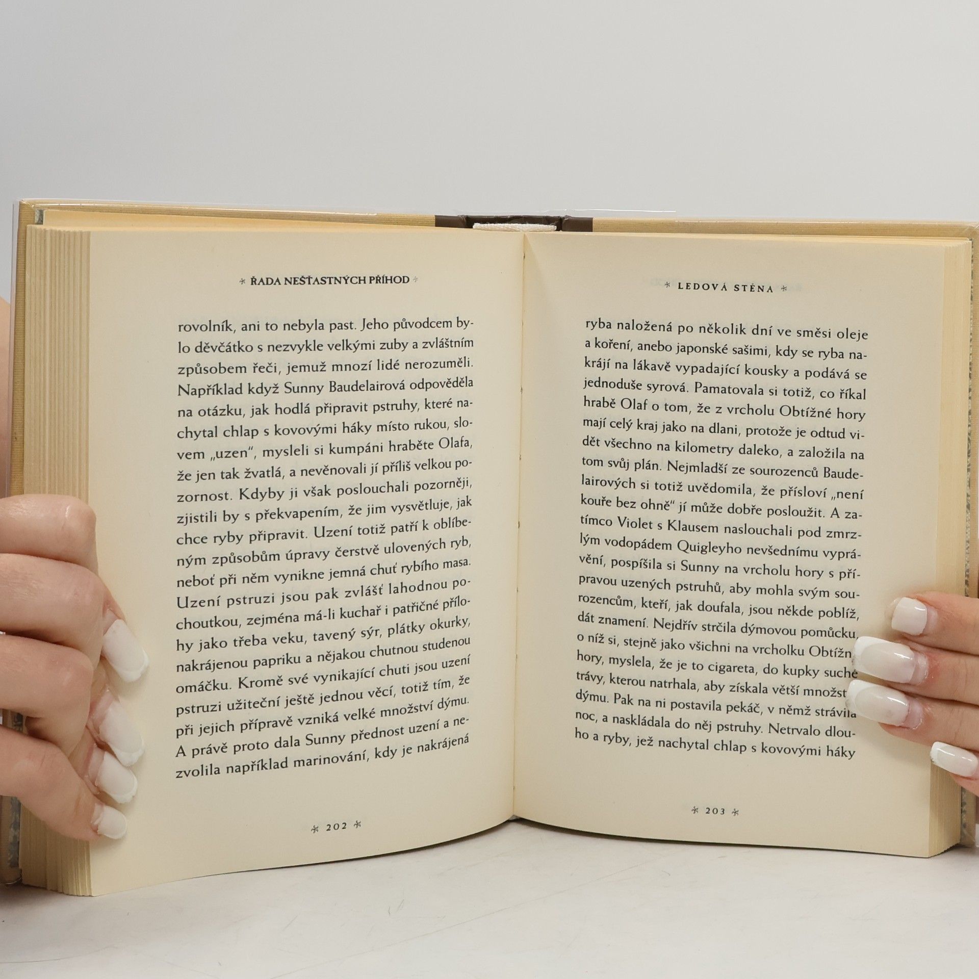 Lemony Snicket Řada nešťastných příhod. Kniha desátá, Ledová stěna