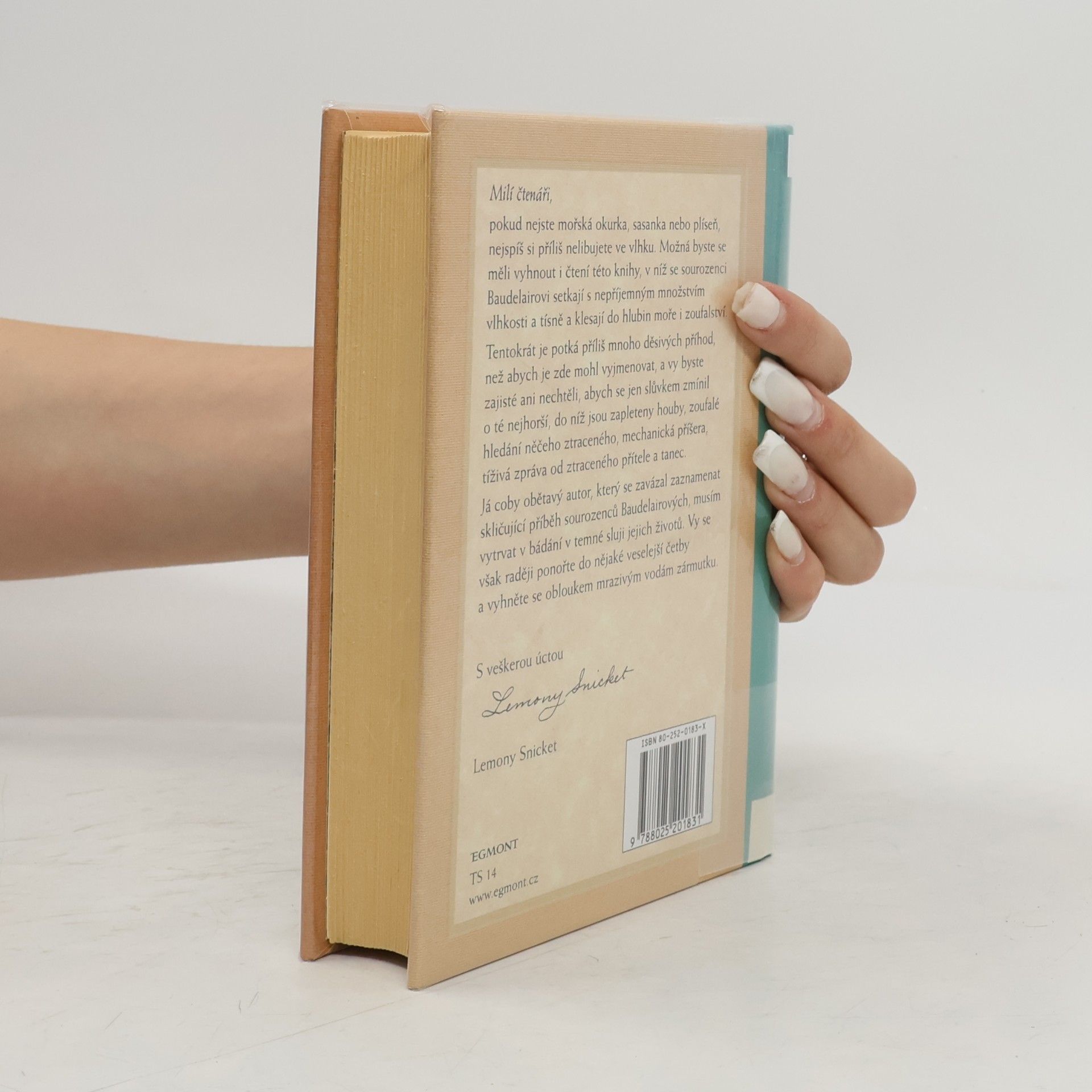 Lemony Snicket Řada nešťastných příhod 11. Ponurá sluj