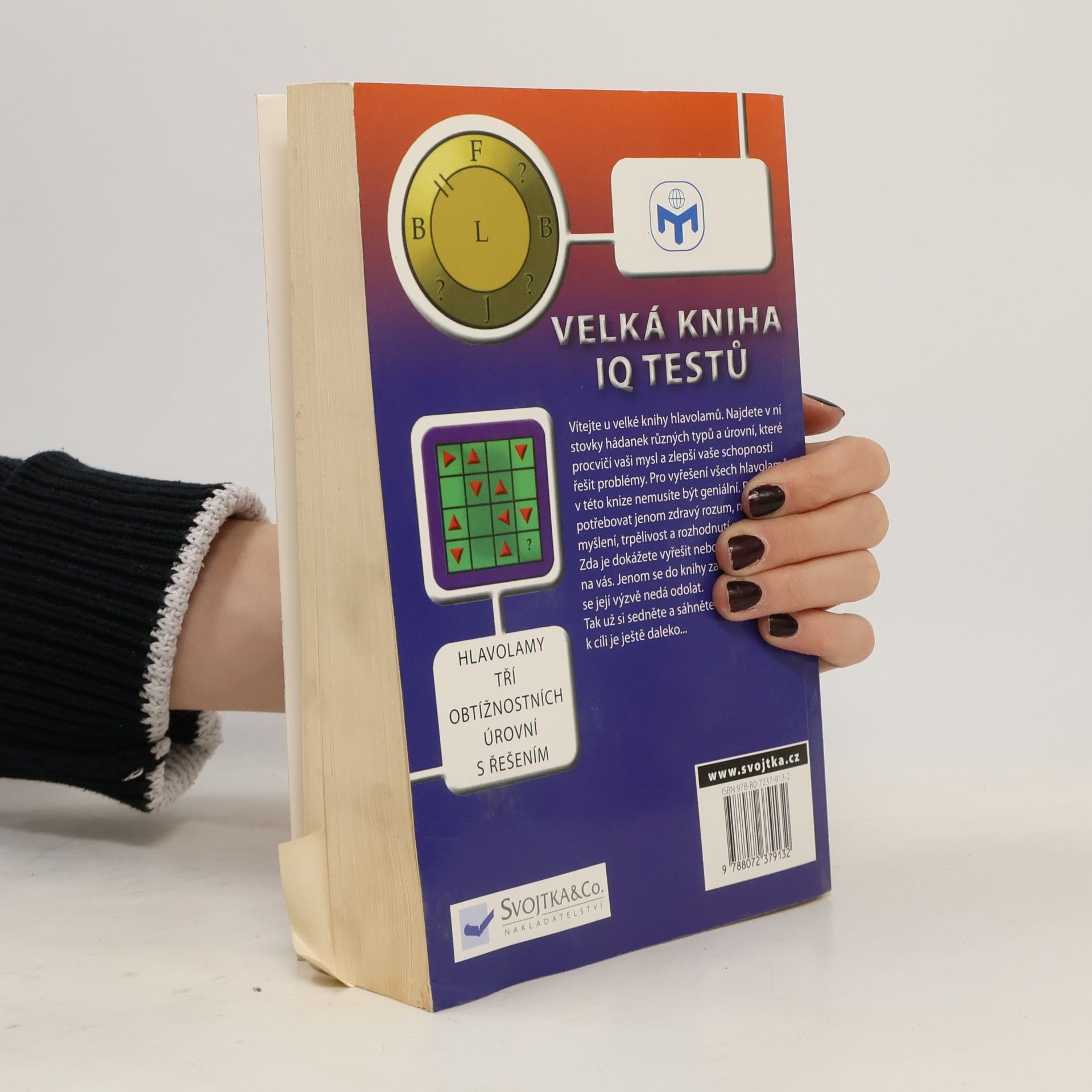 Robert C. Allen Mensa - Velká kniha IQ testů