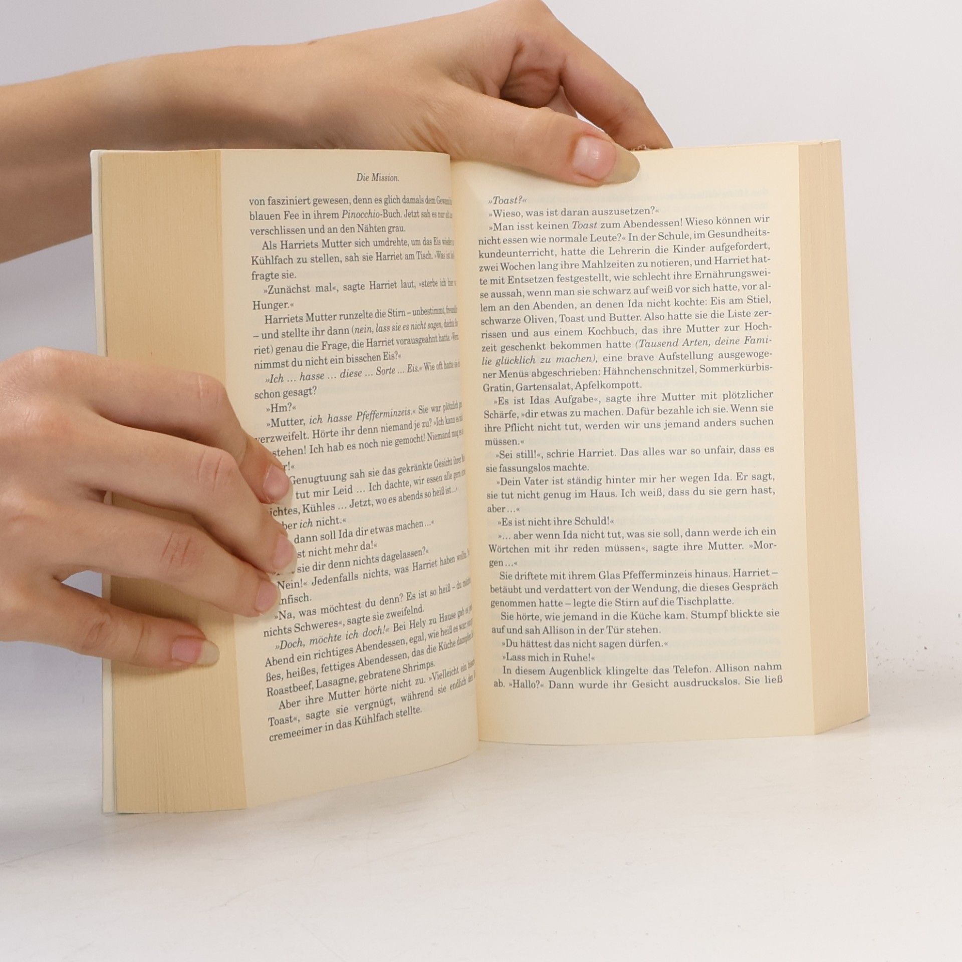 Donna Tartt Der kleine Freund