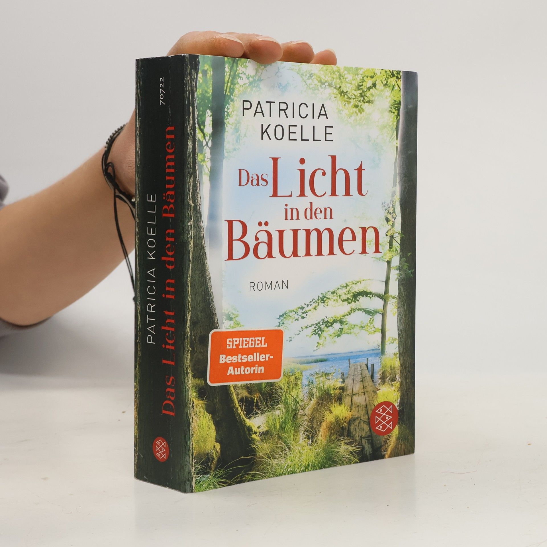 Patricia Koelle Das Licht in den Bäumen