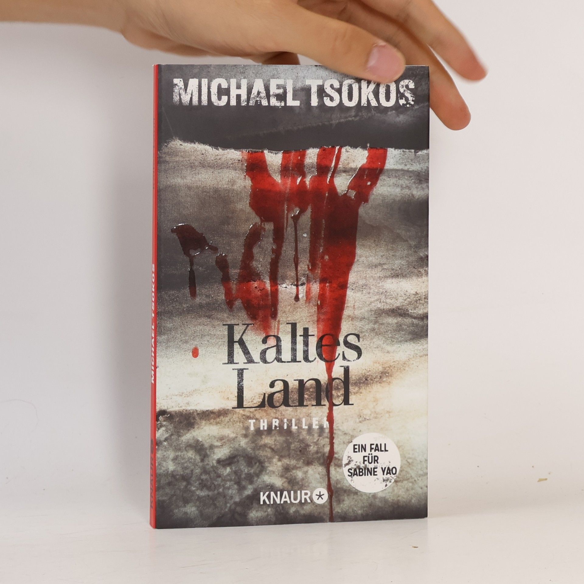 Michael Tsokos Kaltes Land