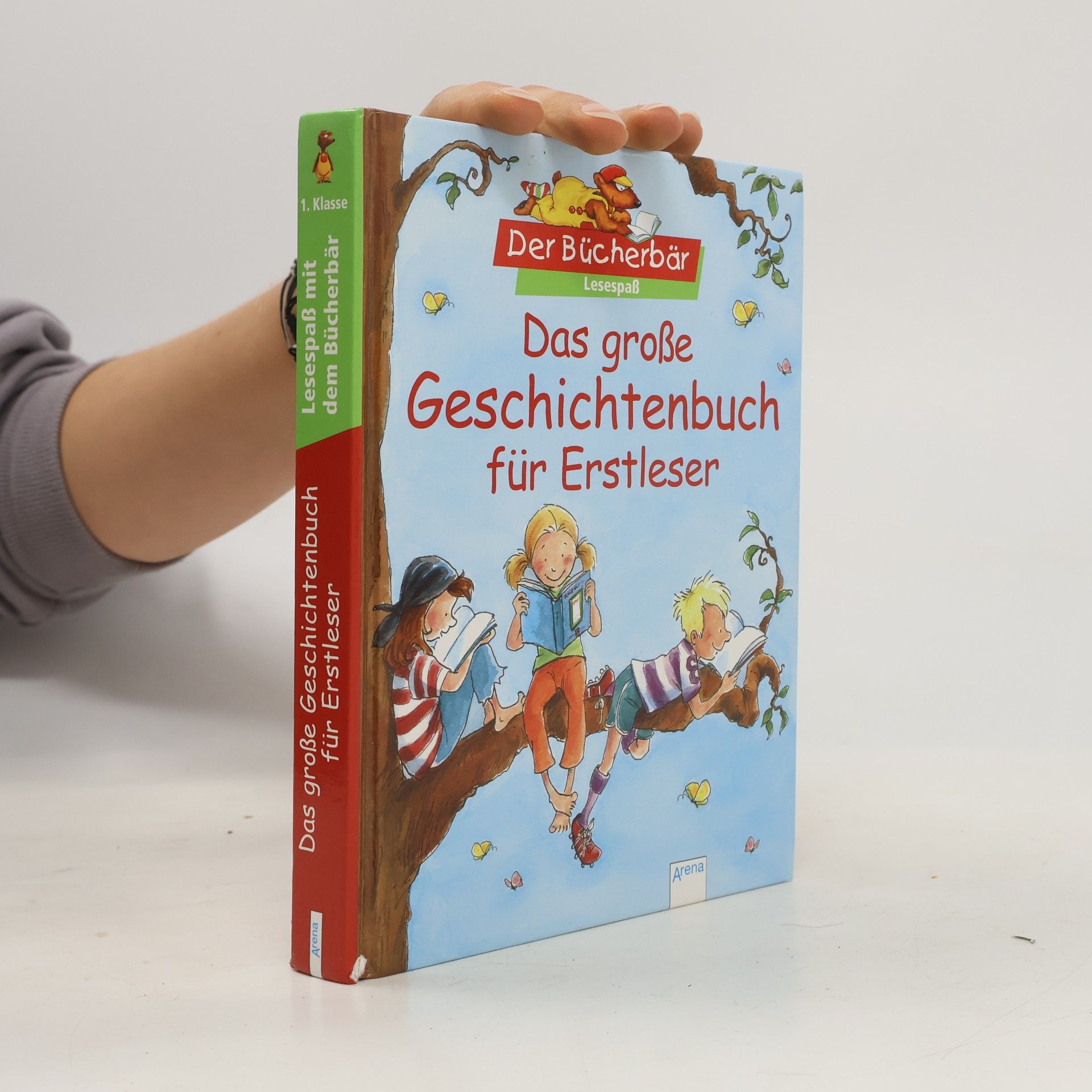 Kolektiv autorů Das große Geschichtenbuch für Erstleser