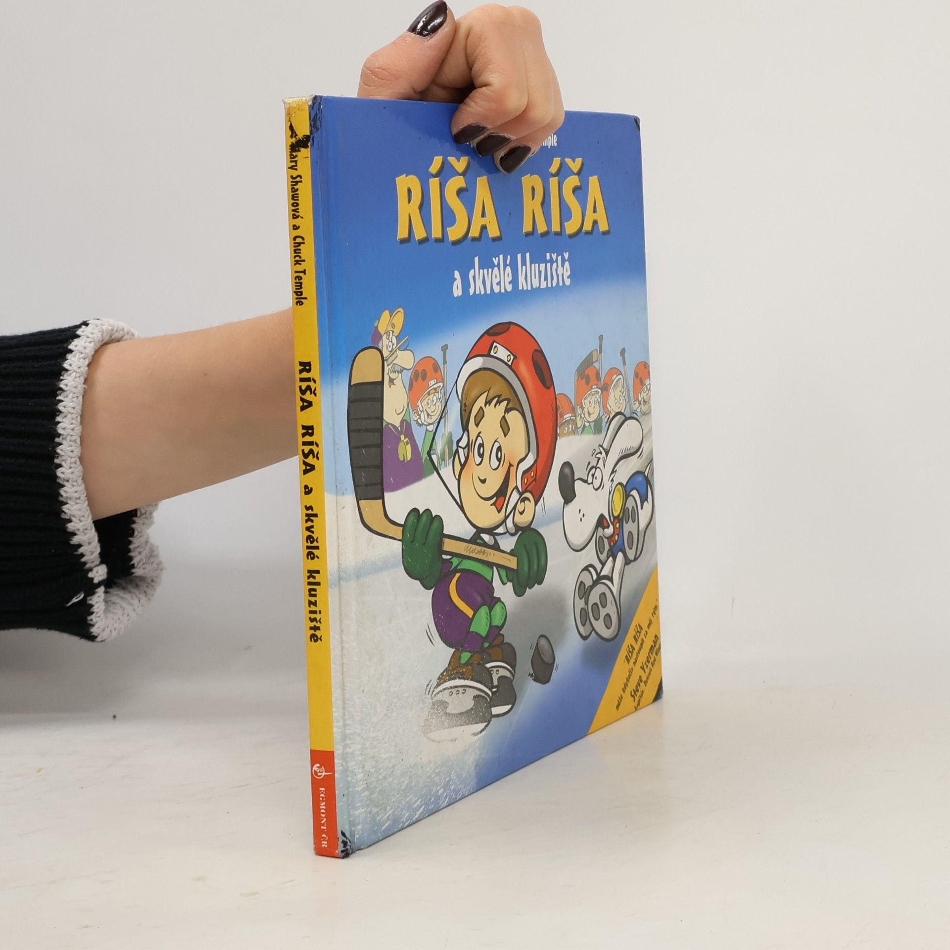 Ríša Ríša a skvělé kluziště