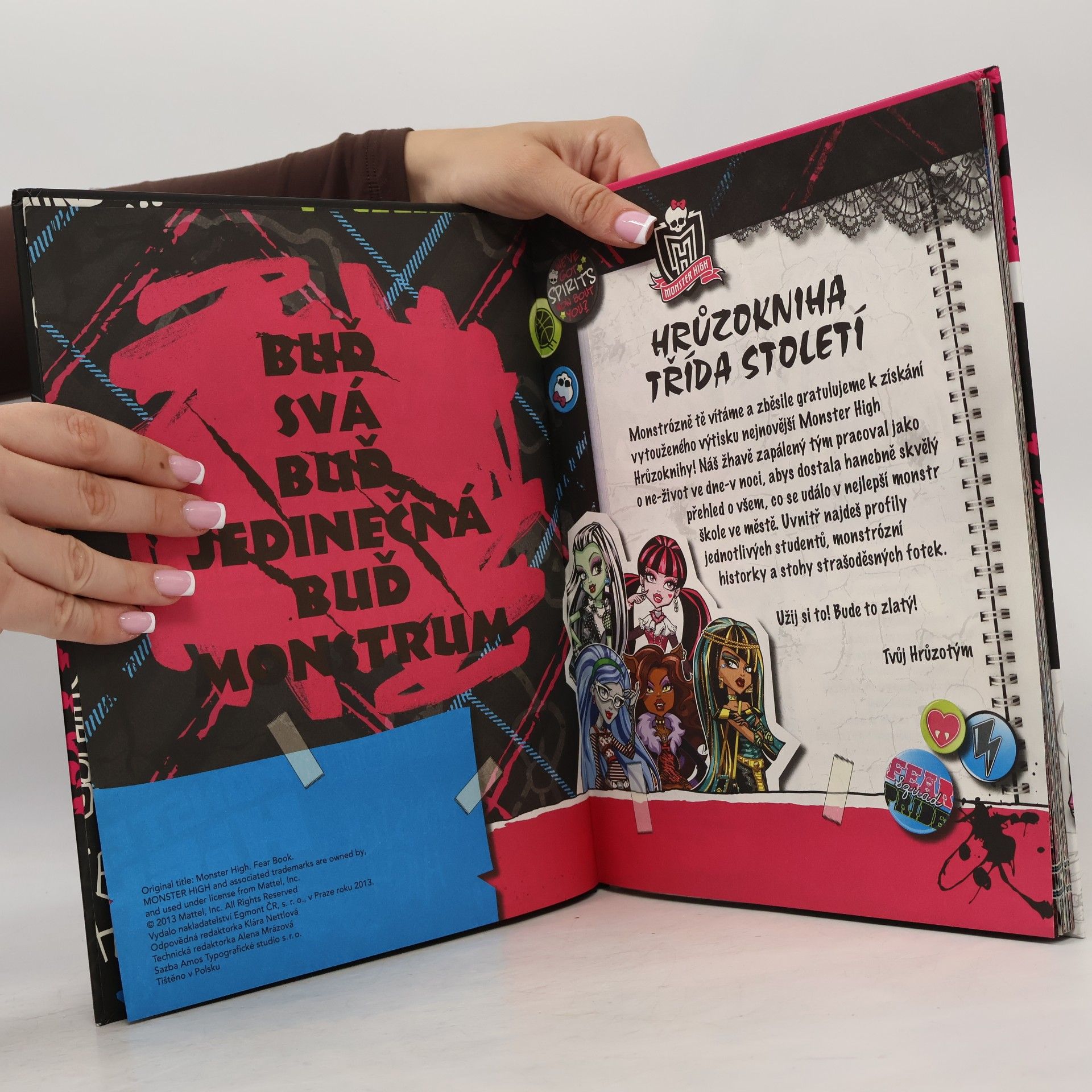 Autorenkollektiv Monster High. Třída století