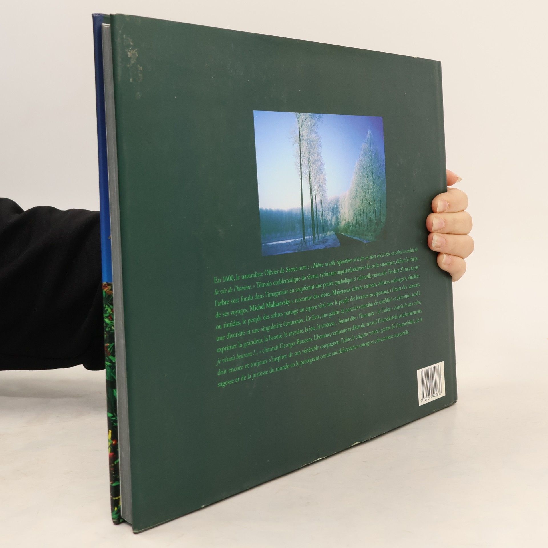 Michel Maliarevsky Portraits d'Arbres