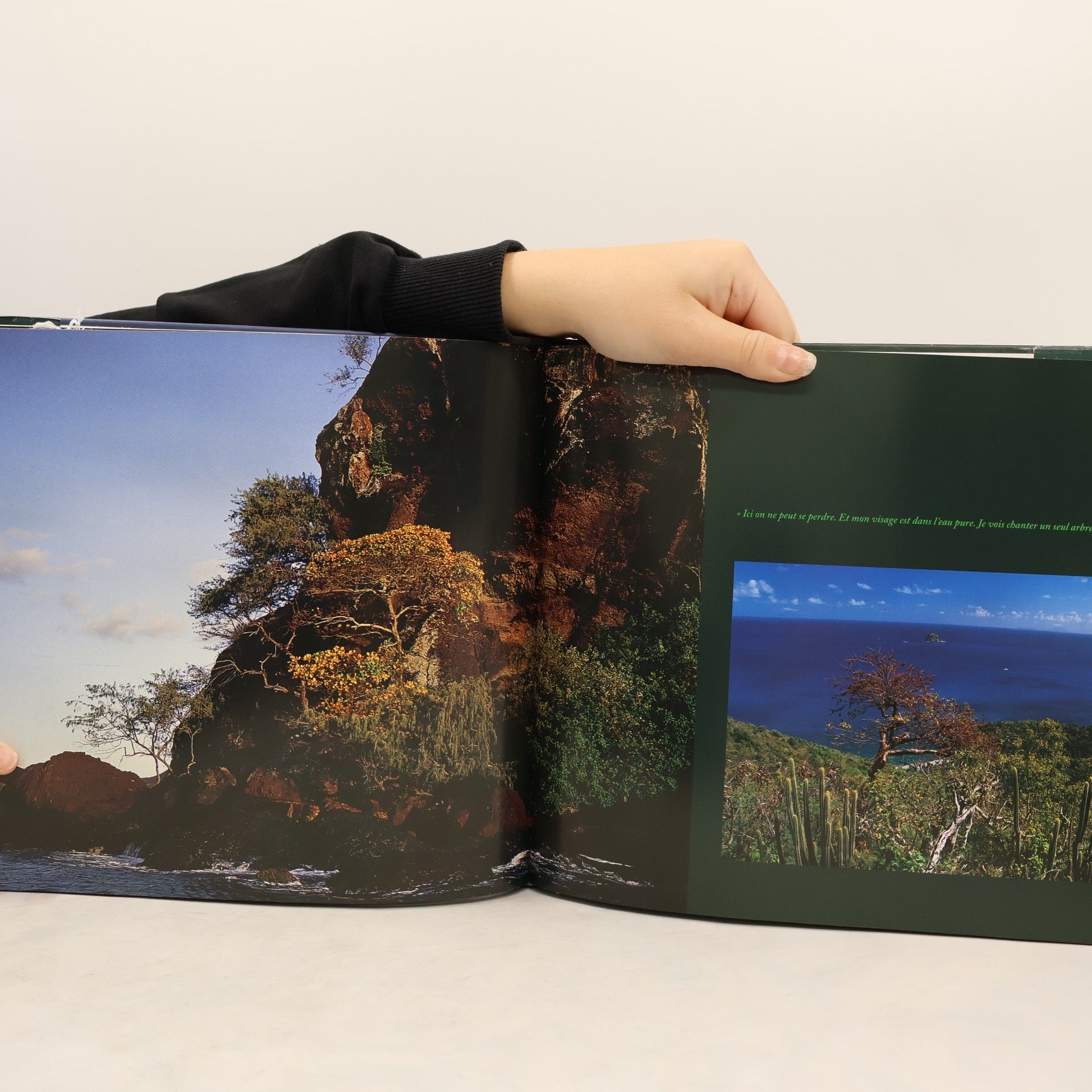 Michel Maliarevsky Portraits d'Arbres
