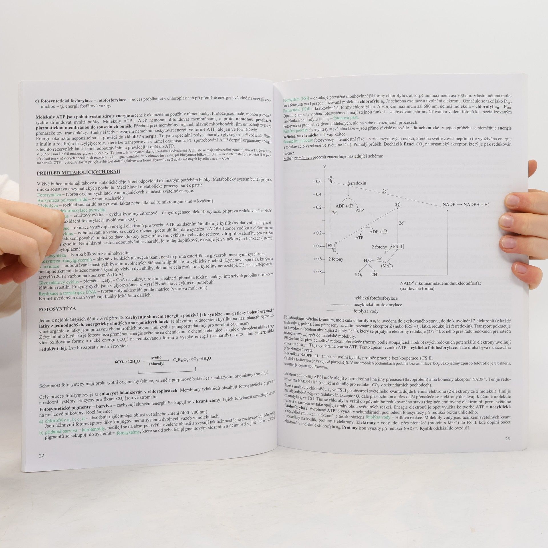 Hana Hančová Biologie v kostce. 1. díl