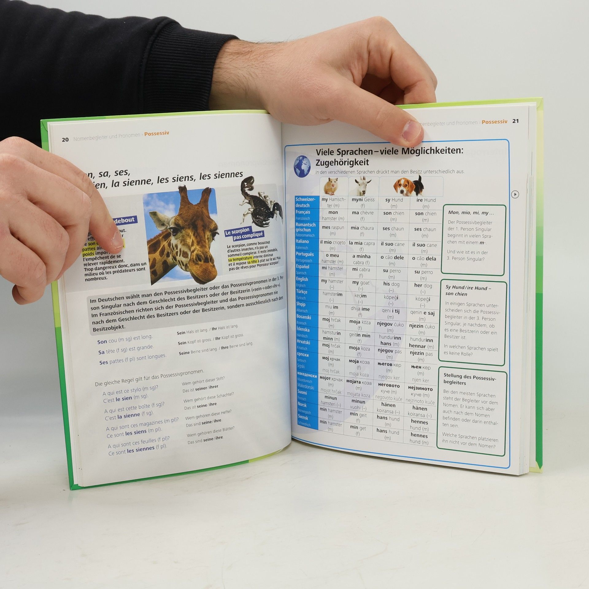 Collectif d'auteurs Mini-grammaire