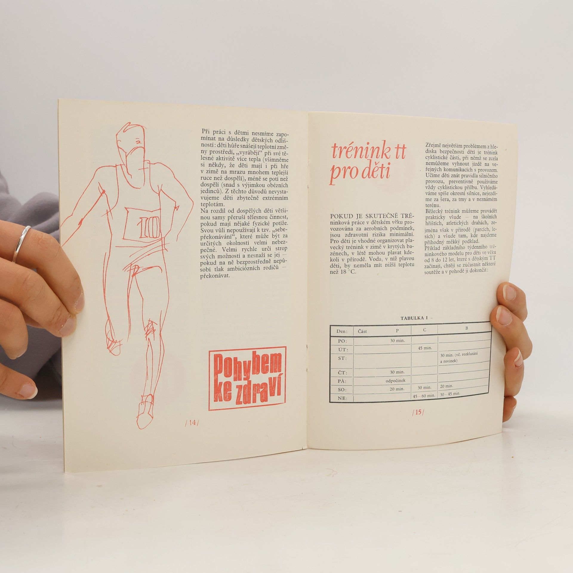 Ivo Domanský Triatlon pro každého