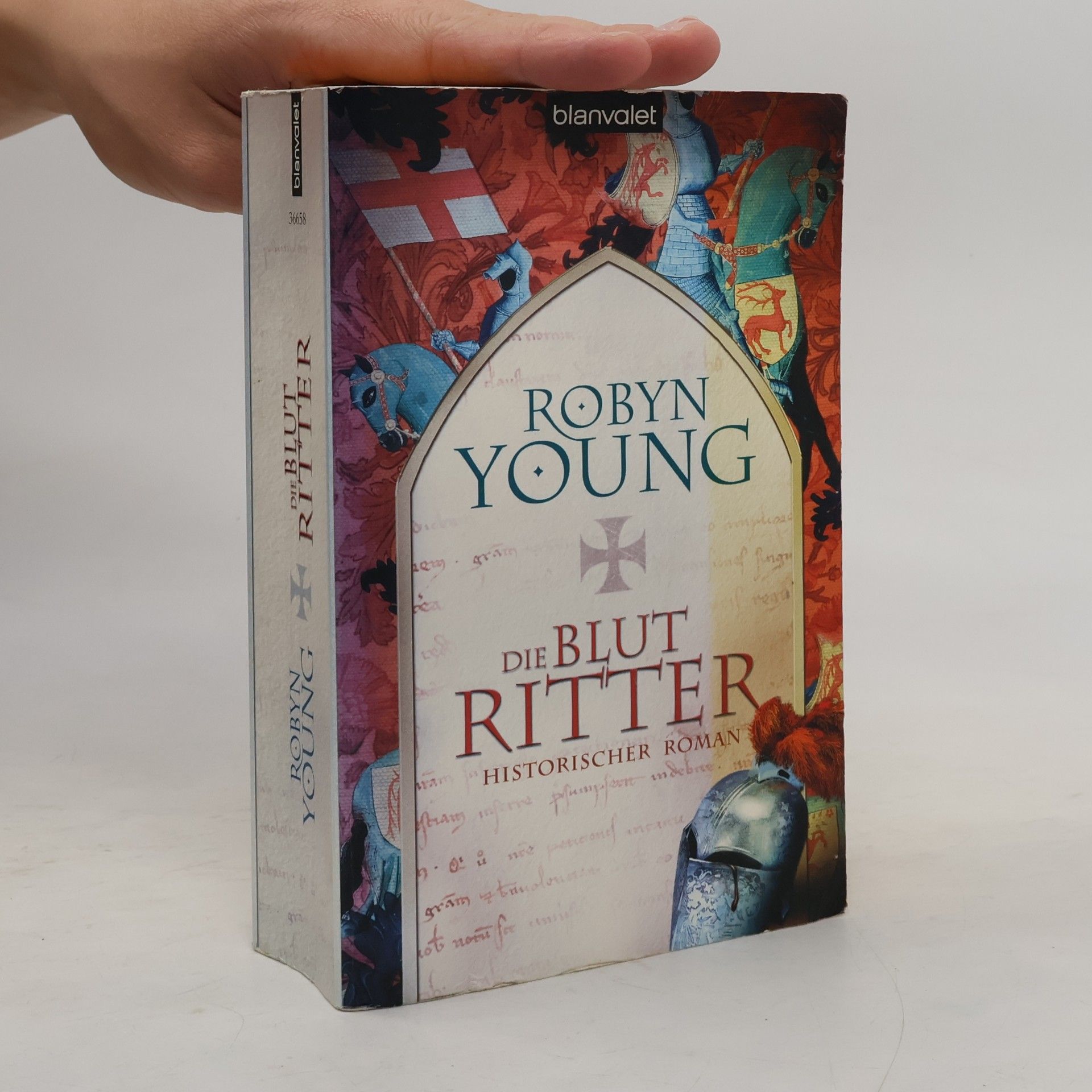 Robyn Young Die Blutritter
