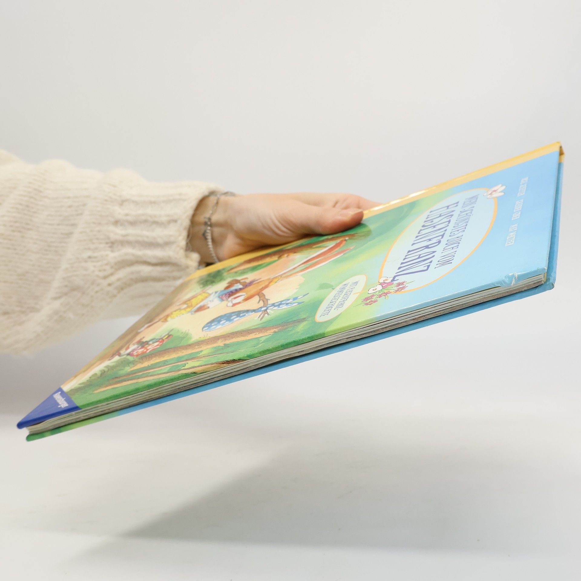 Autorenkollektiv Mein schönstes Buch vom Hasenfranz