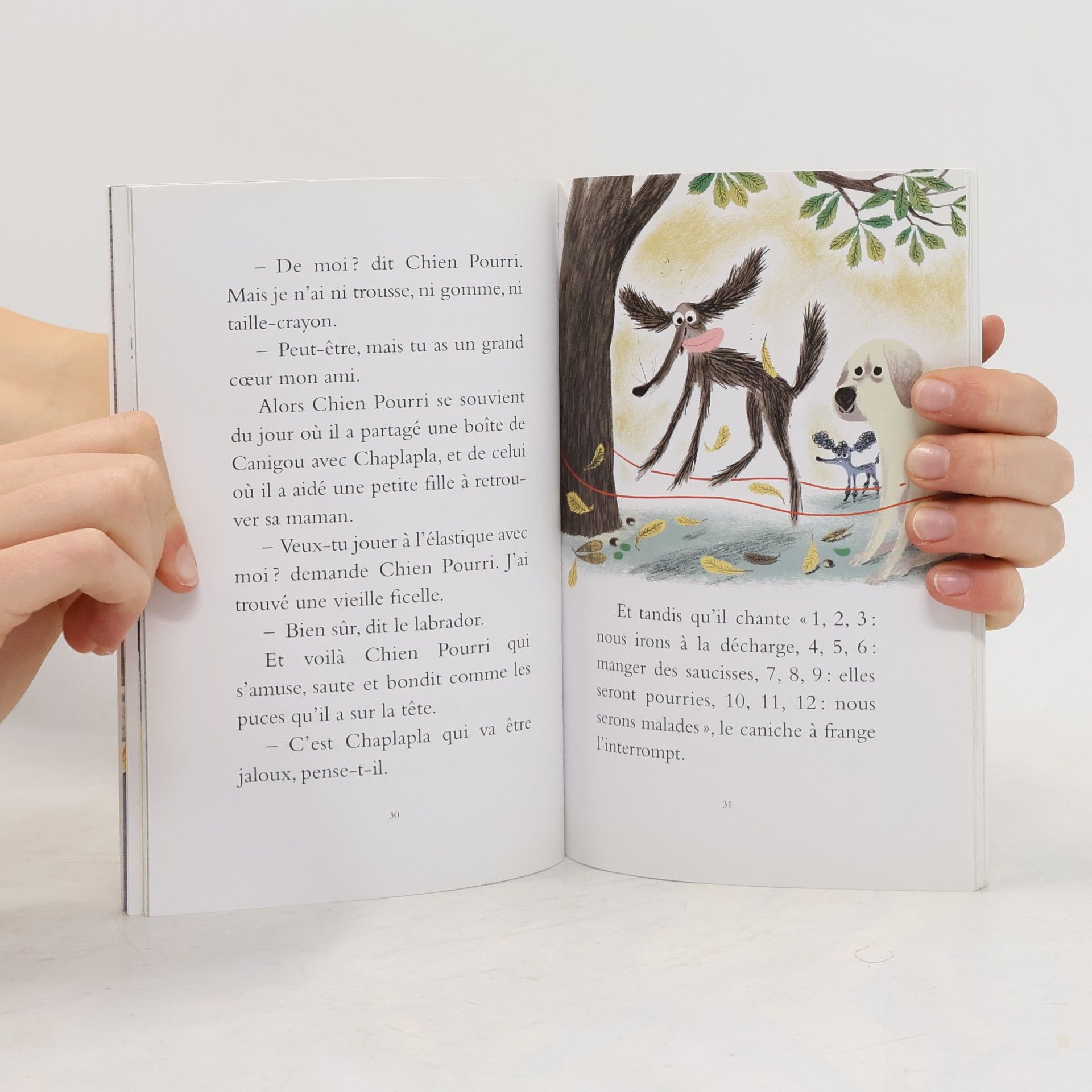 Colas Gutman Mouche: Chien pourri à l'école