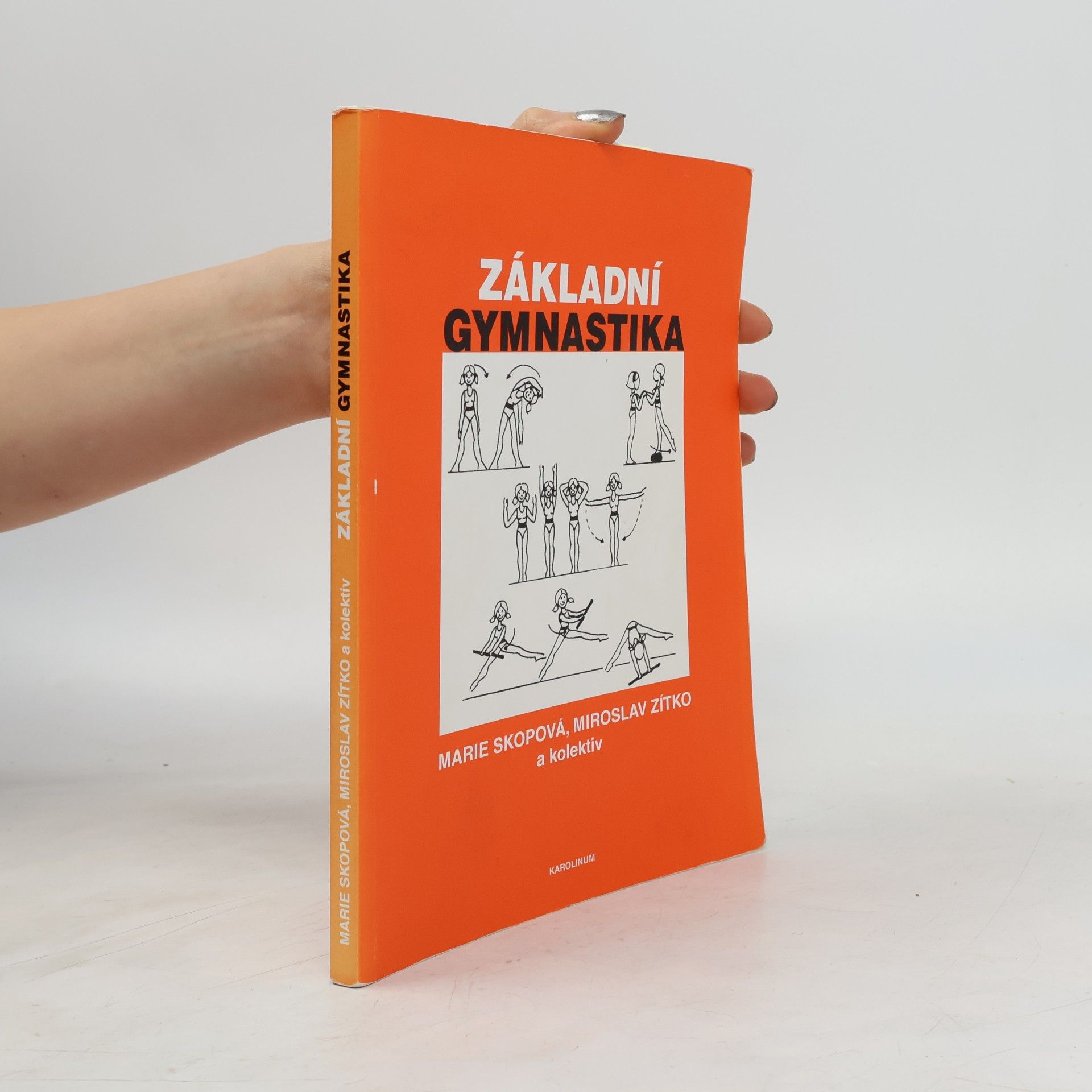 Základní gymnastika