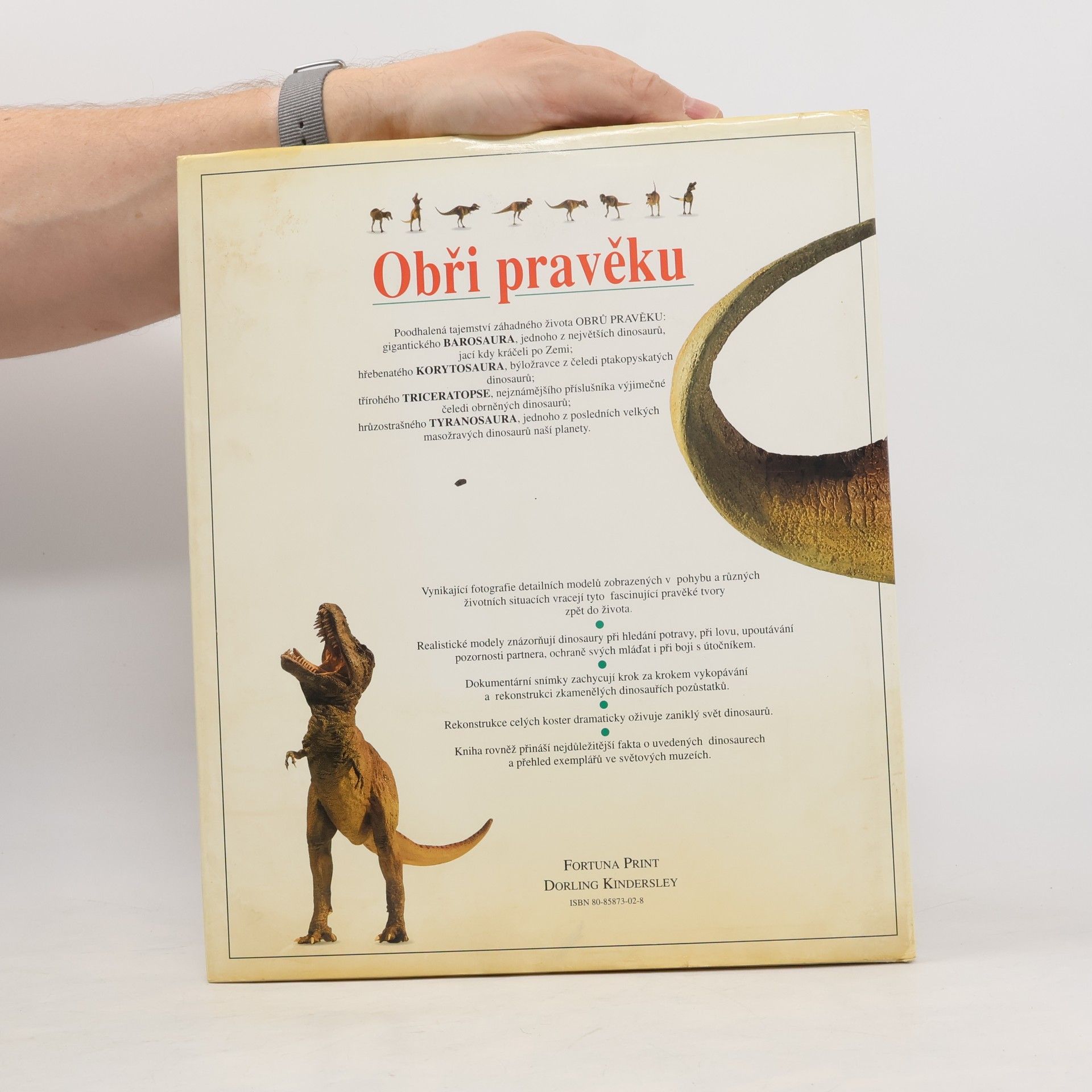 Milan Thurzo Obři pravěku : Barosaurus, Corythosaurus, Triceratops, Tyrannosaurus