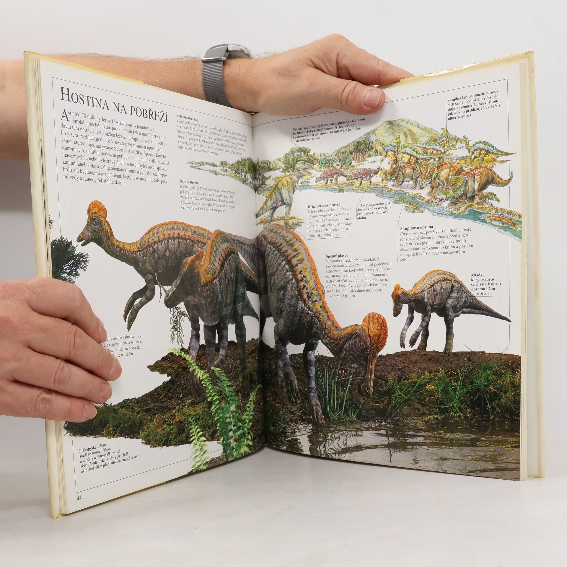 Milan Thurzo Obři pravěku : Barosaurus, Corythosaurus, Triceratops, Tyrannosaurus