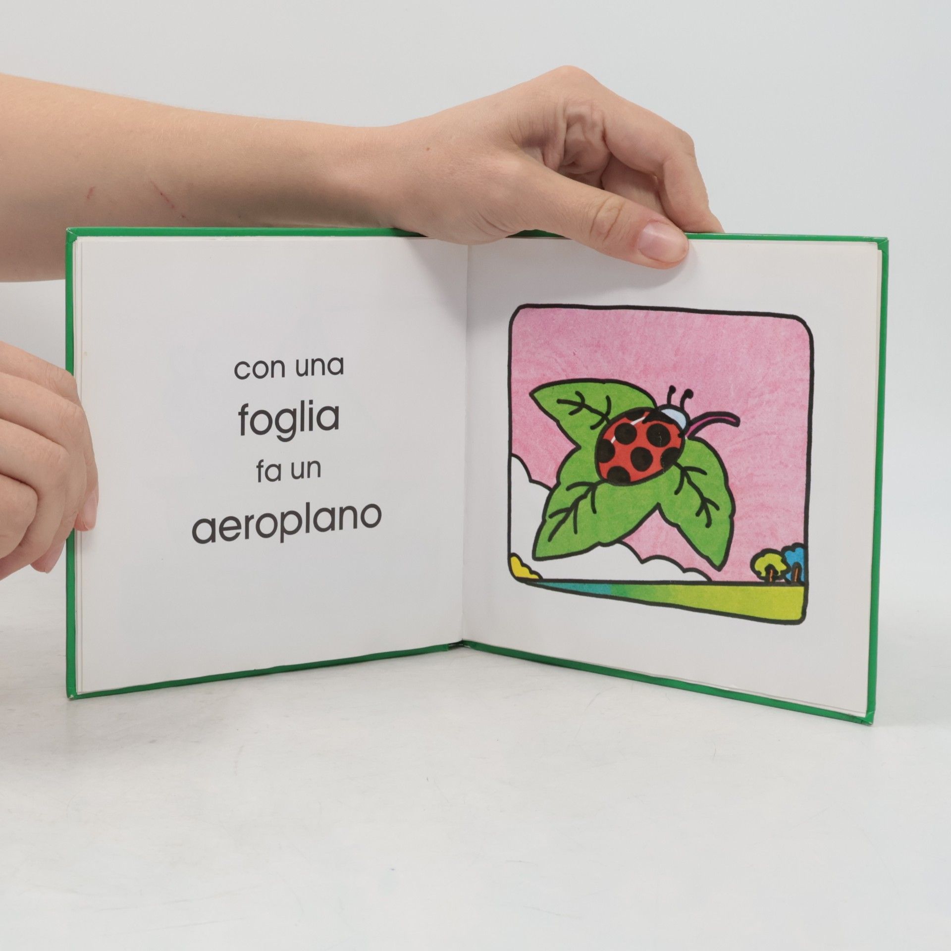 Altan Brava, coccinella!