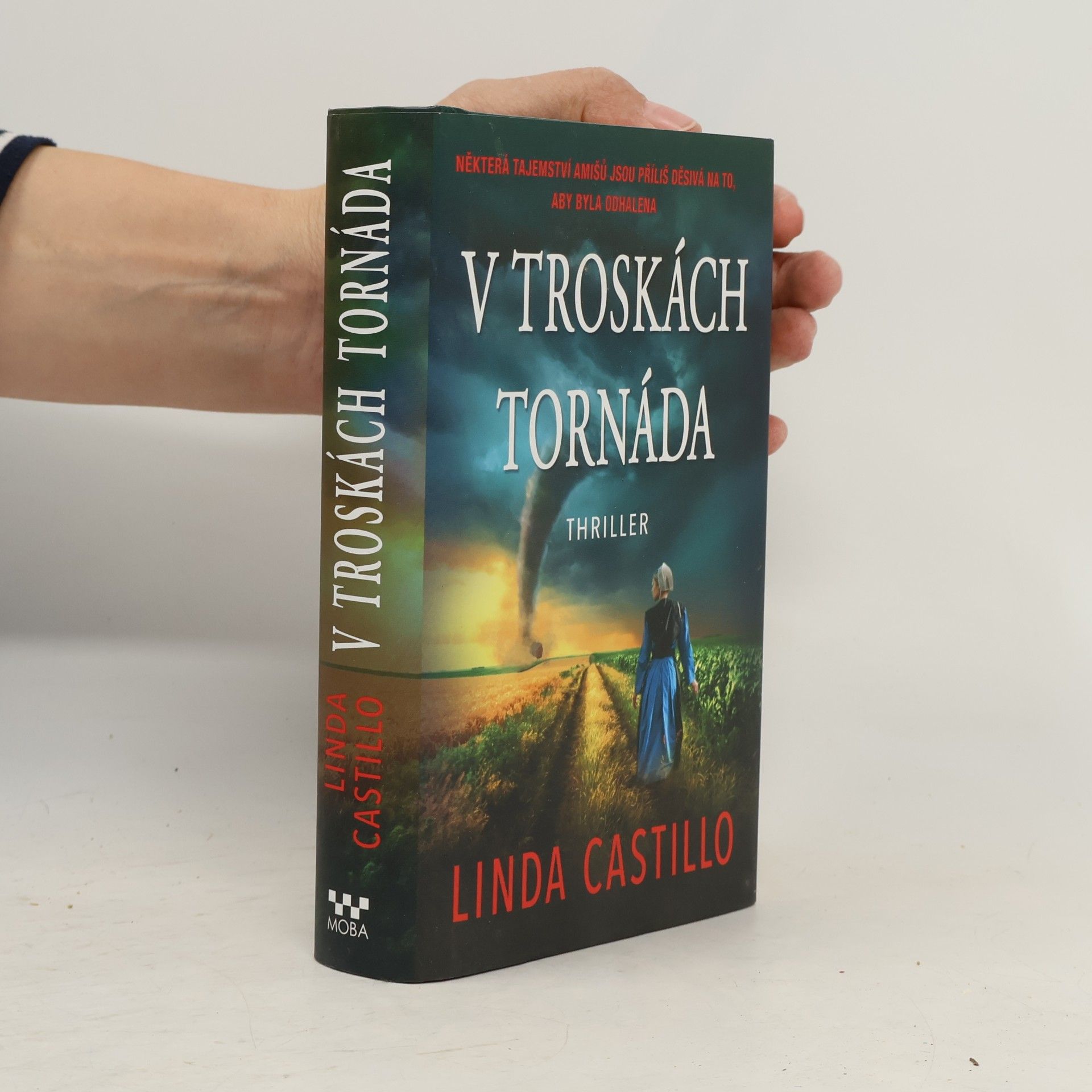 V troskách tornáda