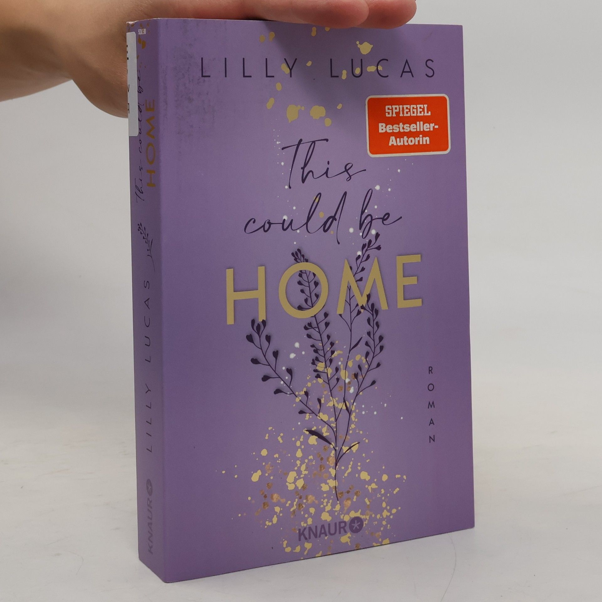 This could be home / Hawaii Love Bd.2