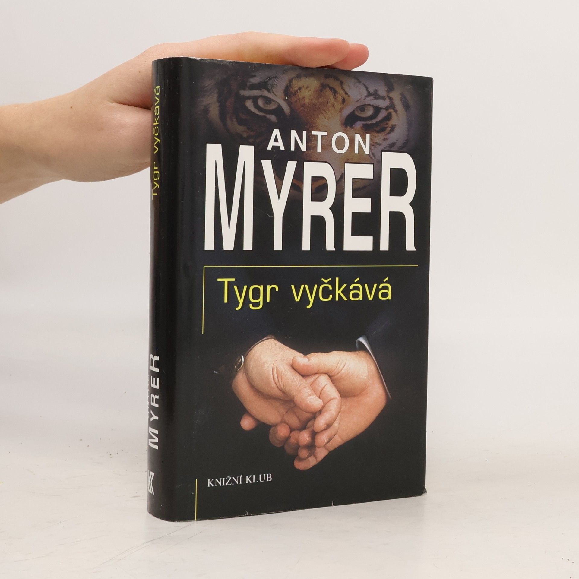 Ivo Šmoldas Tygr vyčkává