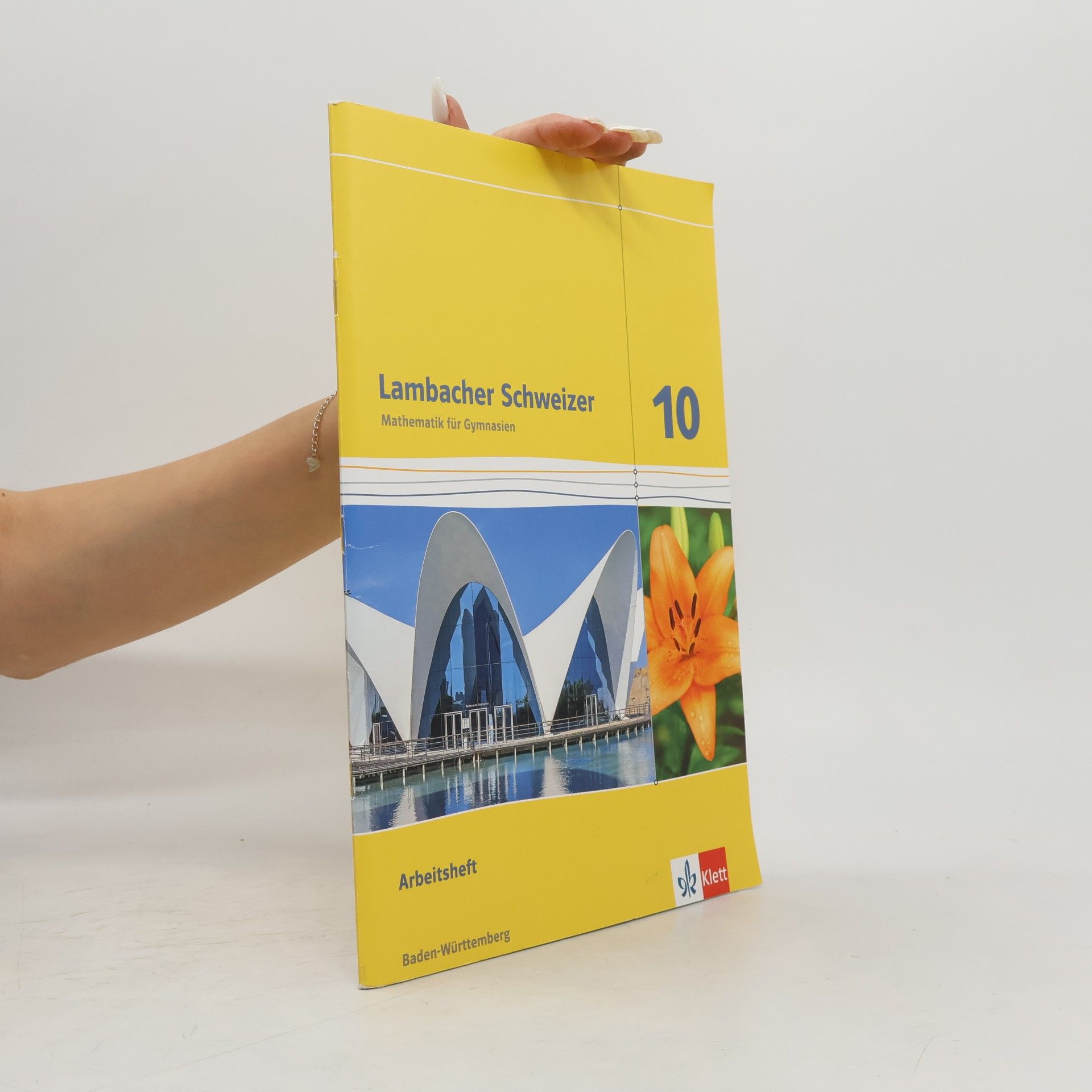 Kolektiv autorů Lambacher Schweizer - Mathematik für Gymnasien Arbeitsheft - Baden-Württemberg