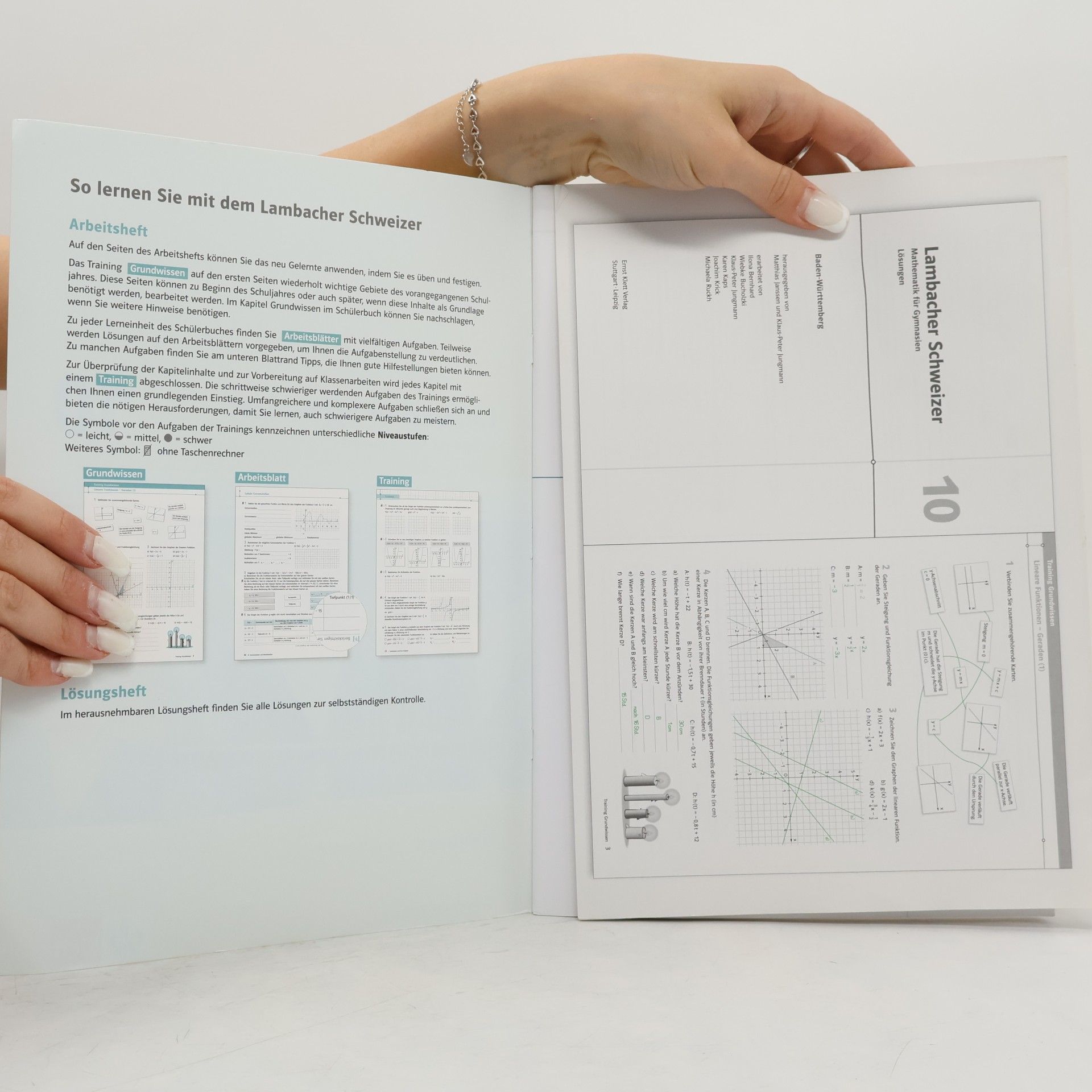 Lambacher Schweizer - Mathematik für Gymnasien Arbeitsheft - Baden-Württemberg