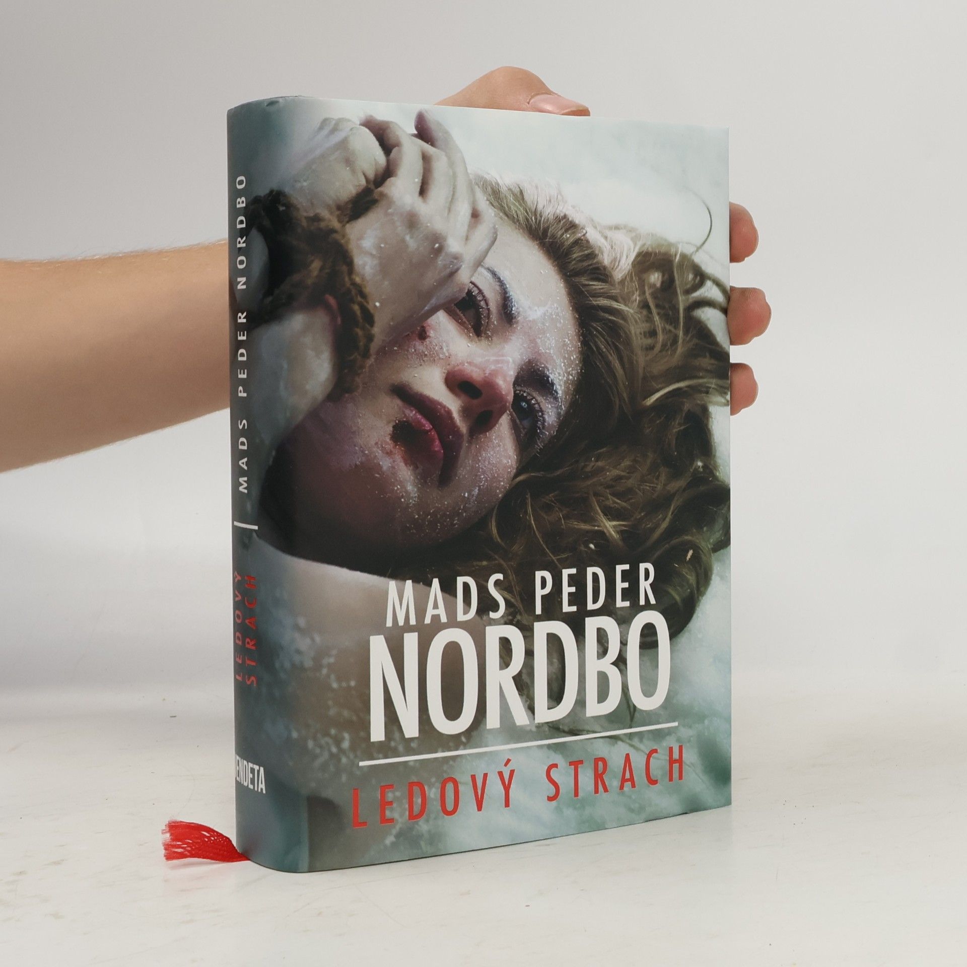 Mads Peder Nordbo Ledový strach
