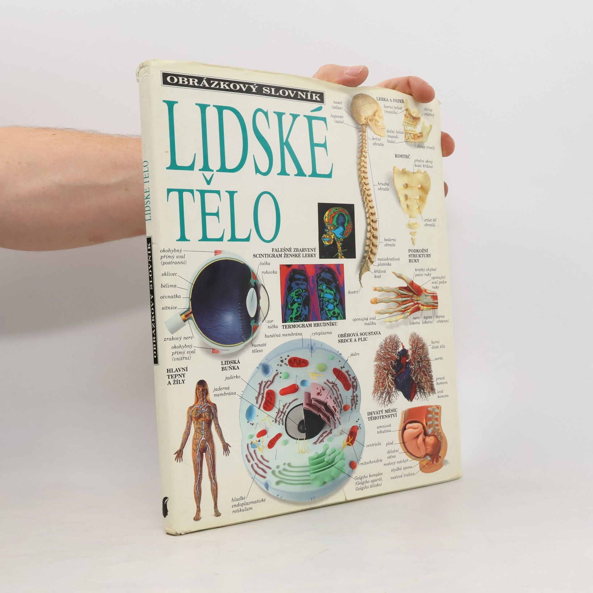 Jozef Kluge Lidské tělo: Obrázkový slovník