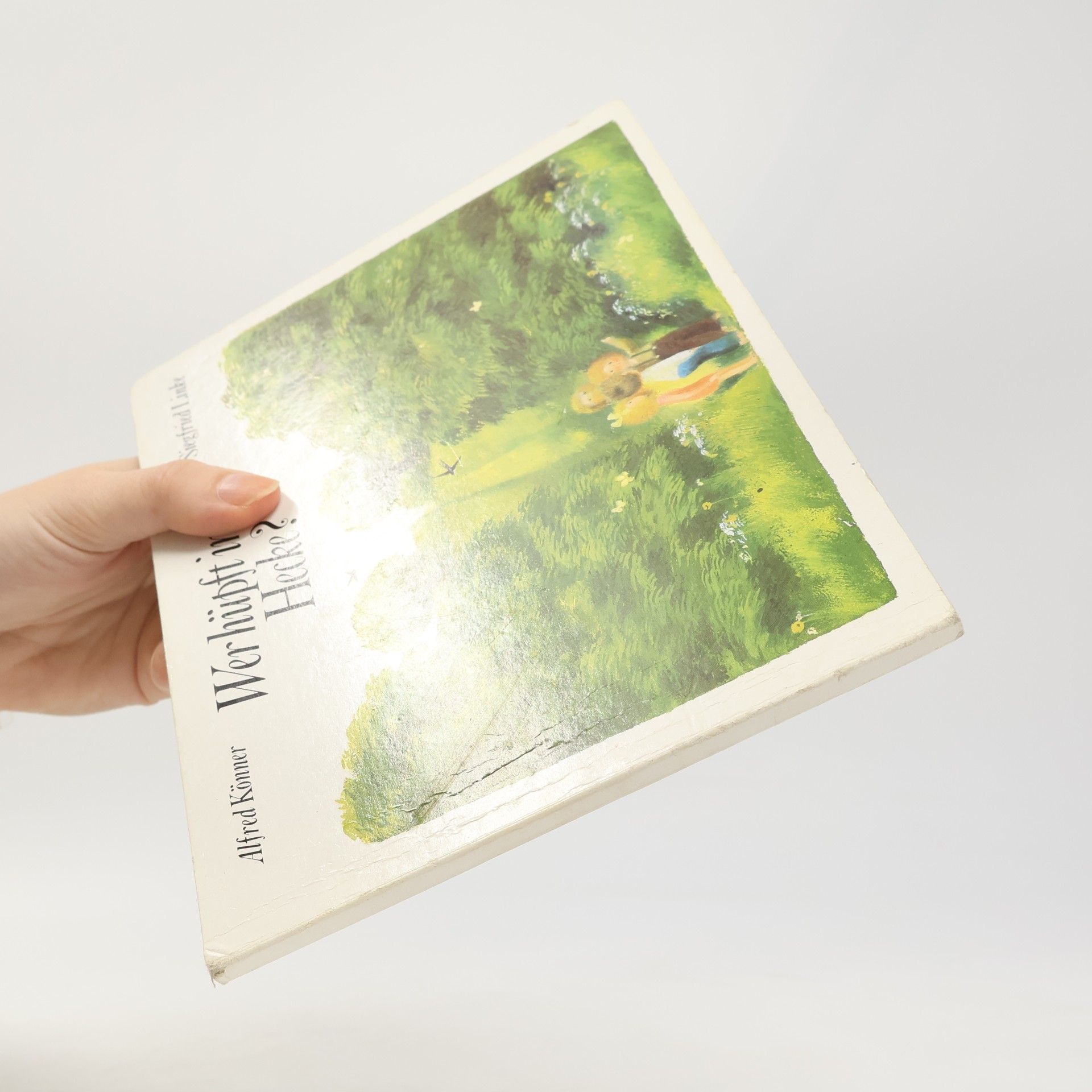 Alfred Könner Wer hüpft in der Hecke