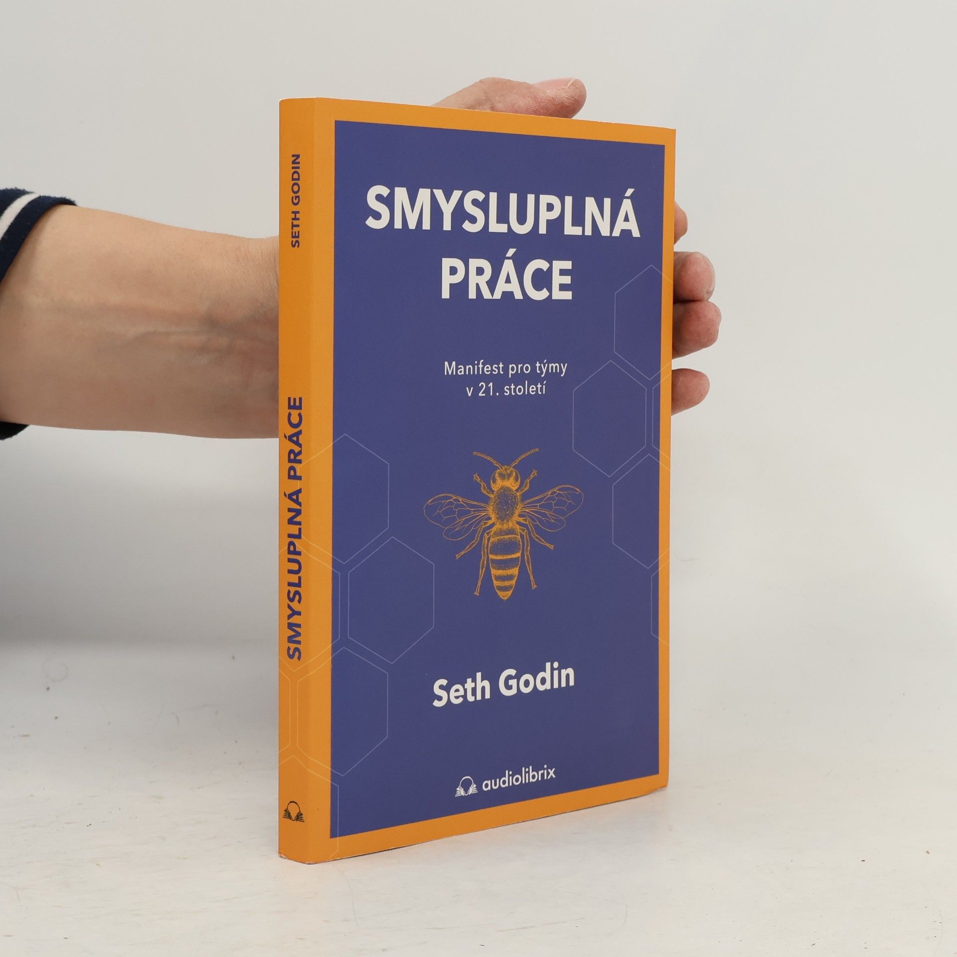 Seth Godin Smysluplná práce : manifest pro týmy v 21. století